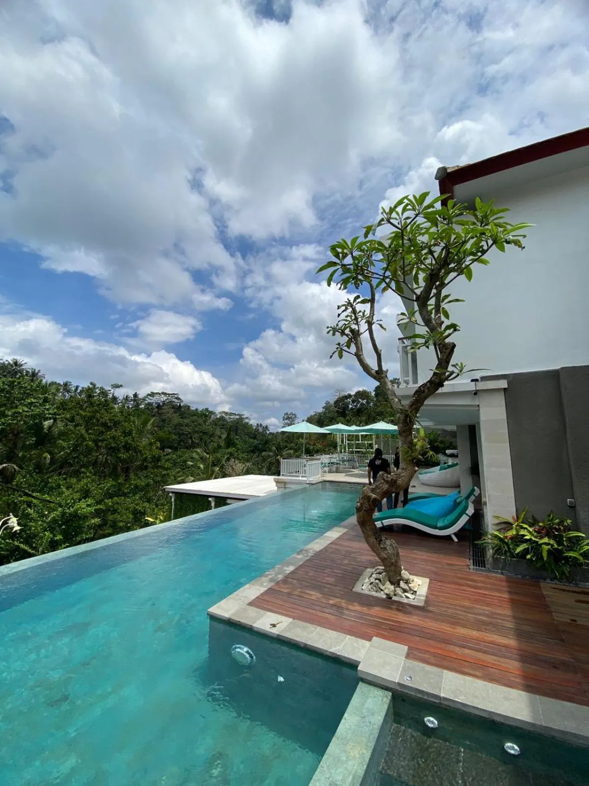 Pool view in Royal Maharani Payogan