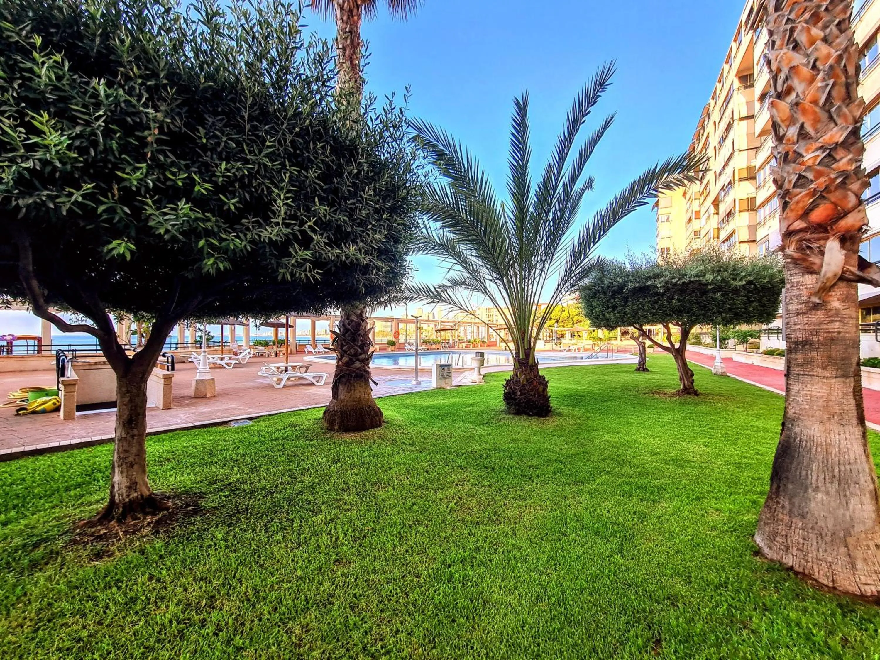 Area and facilities in Apartamento del Mar - Playa Muchavista
