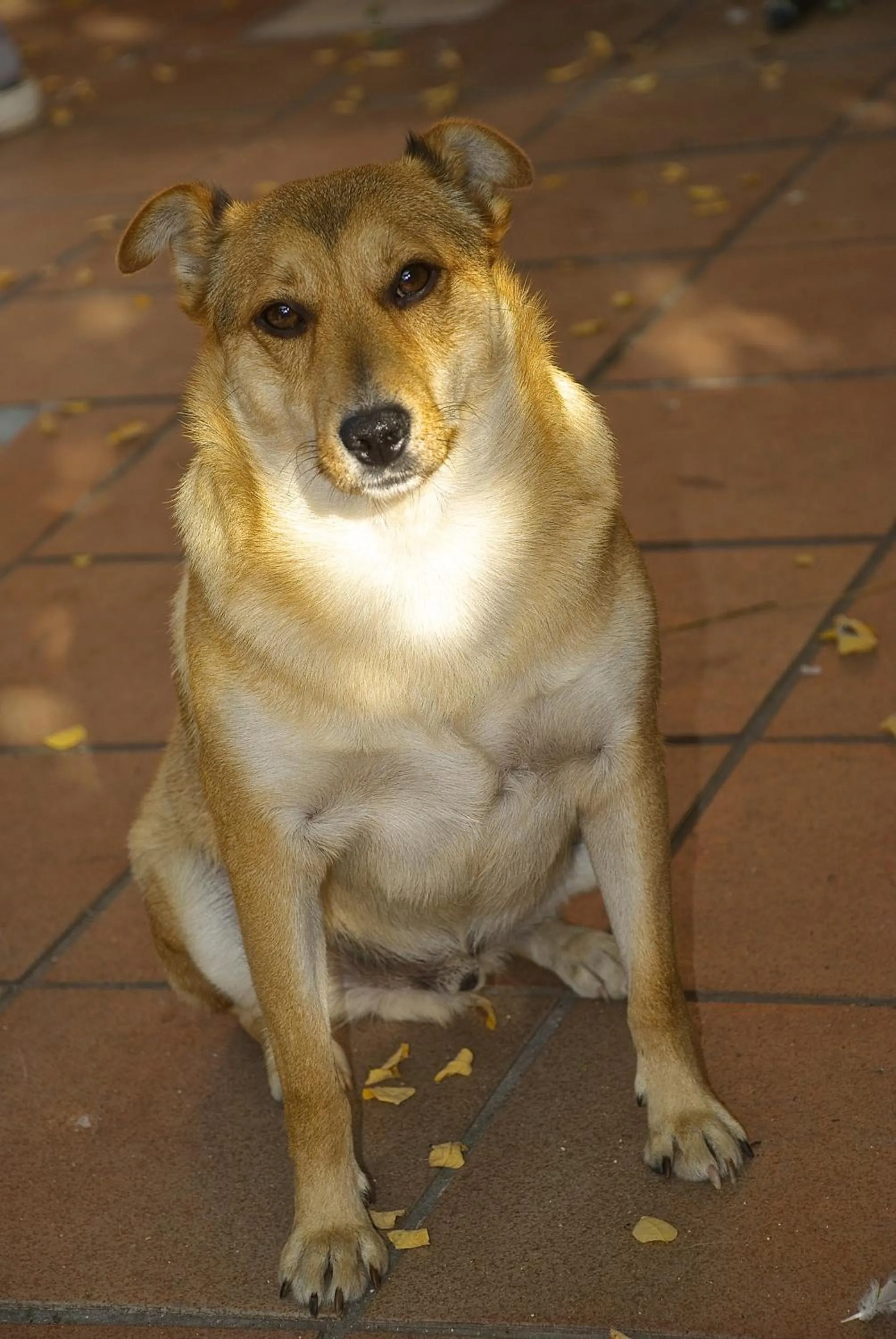 Staff in B&B Mery Lho