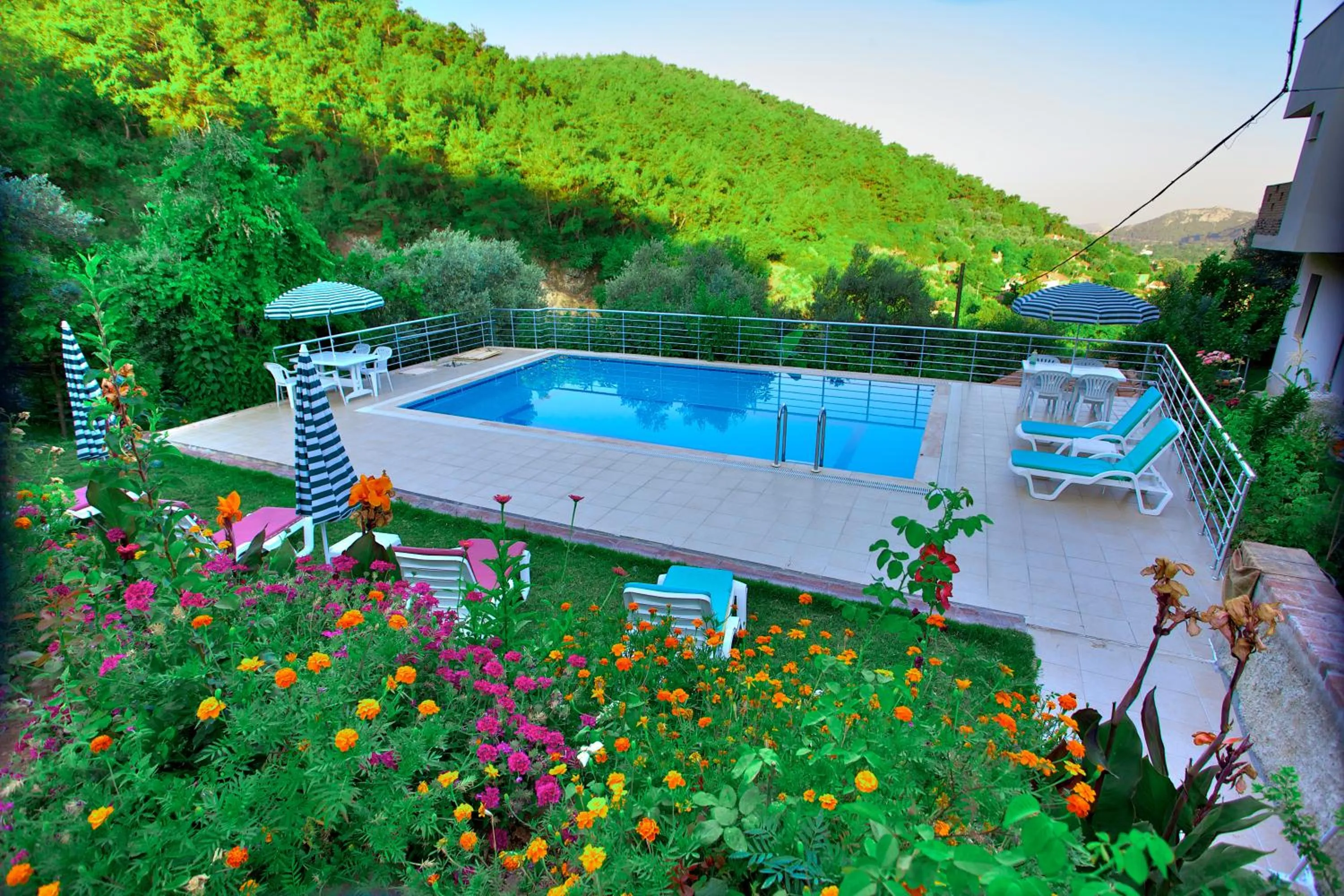 Swimming pool in Efes Butik Otel