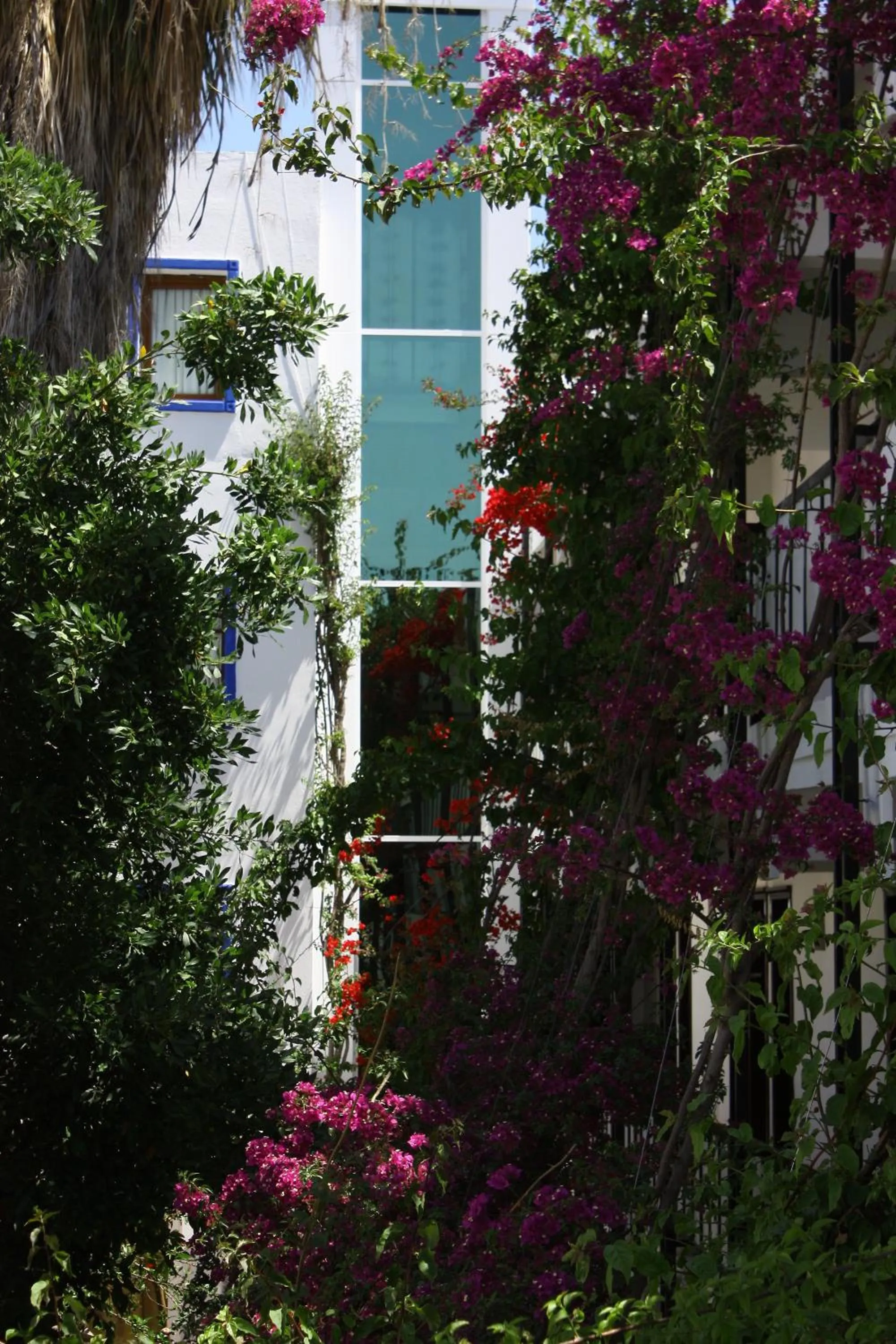 Decorative detail in Sami Beach Hotel- All Inclusive