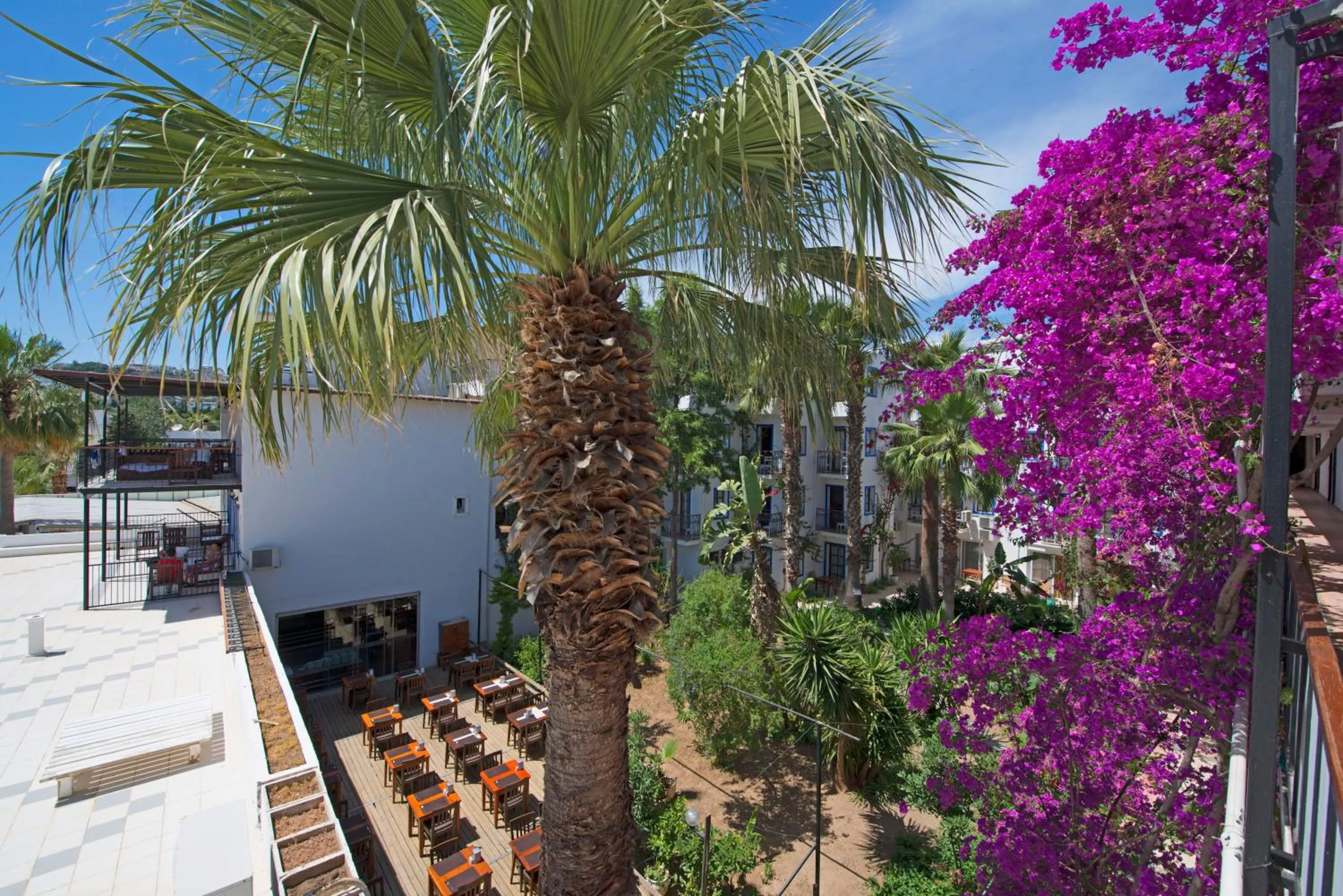 Day in Sami Beach Hotel- All Inclusive