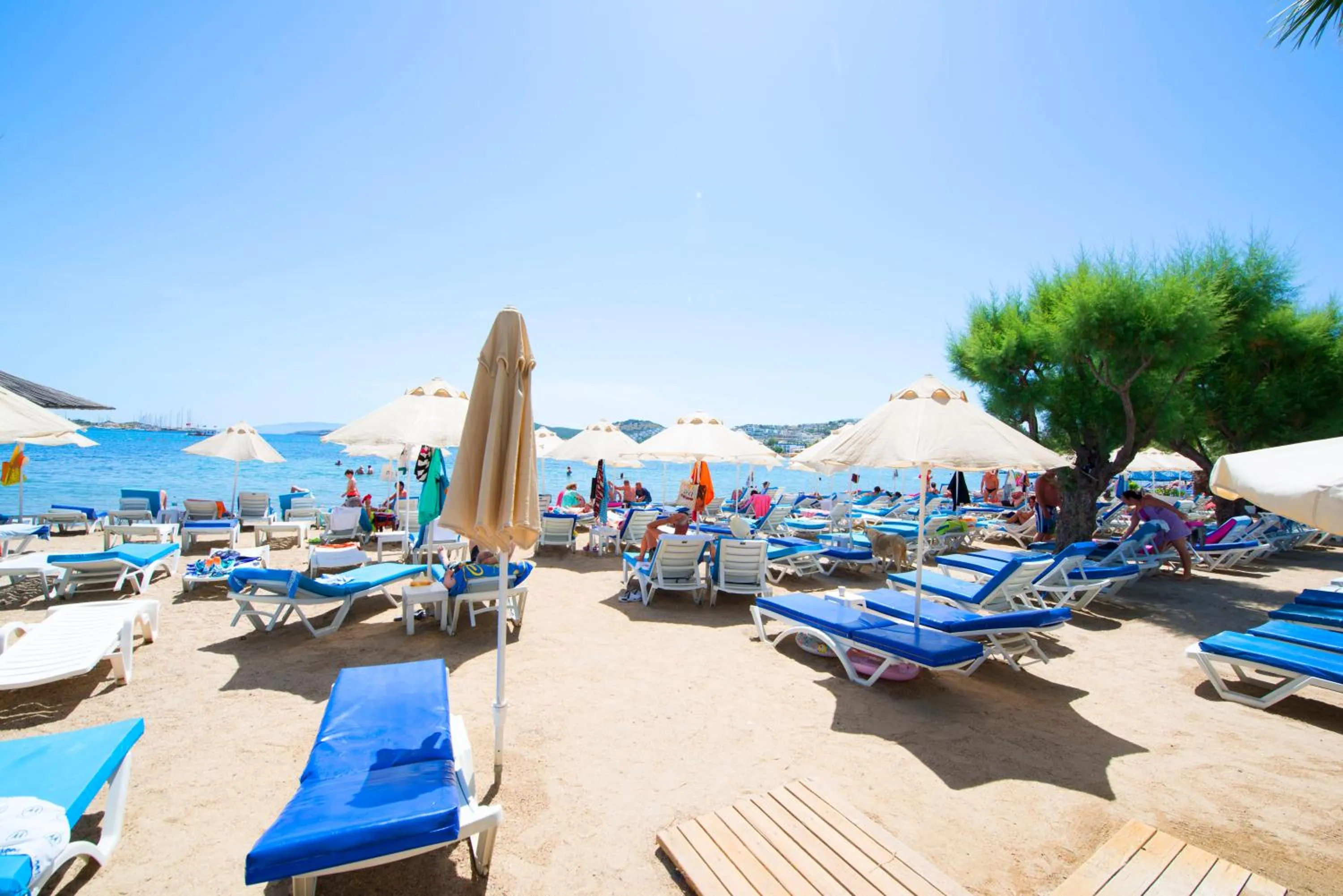 Day in Sami Beach Hotel- All Inclusive