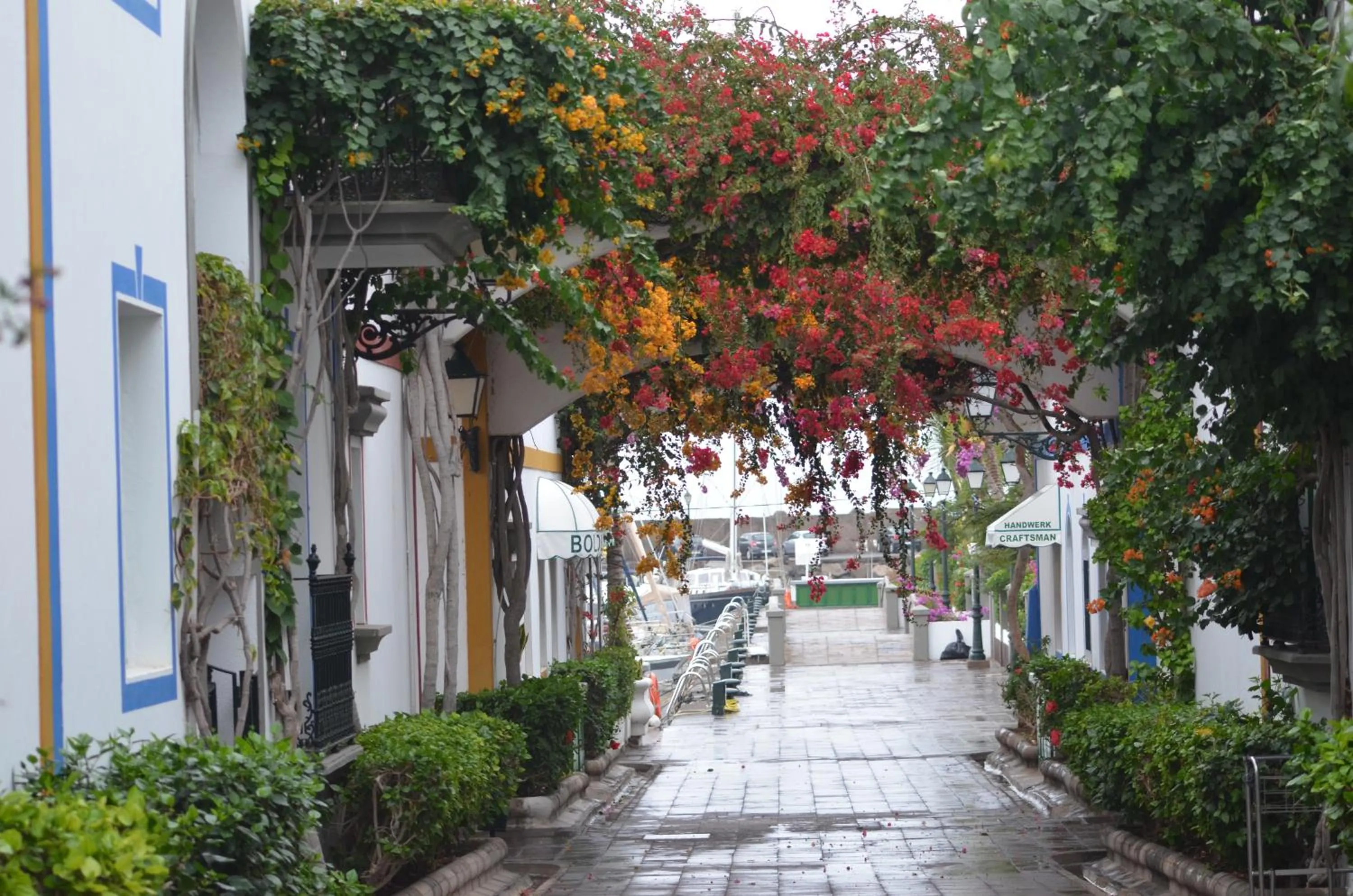 Area and facilities in Pension Eva