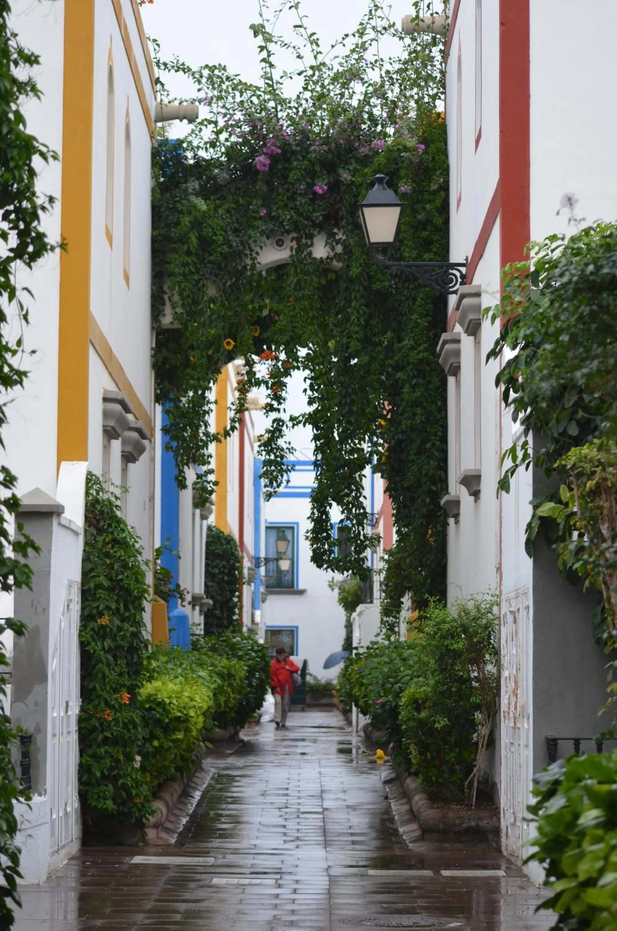 Area and facilities in Pension Eva