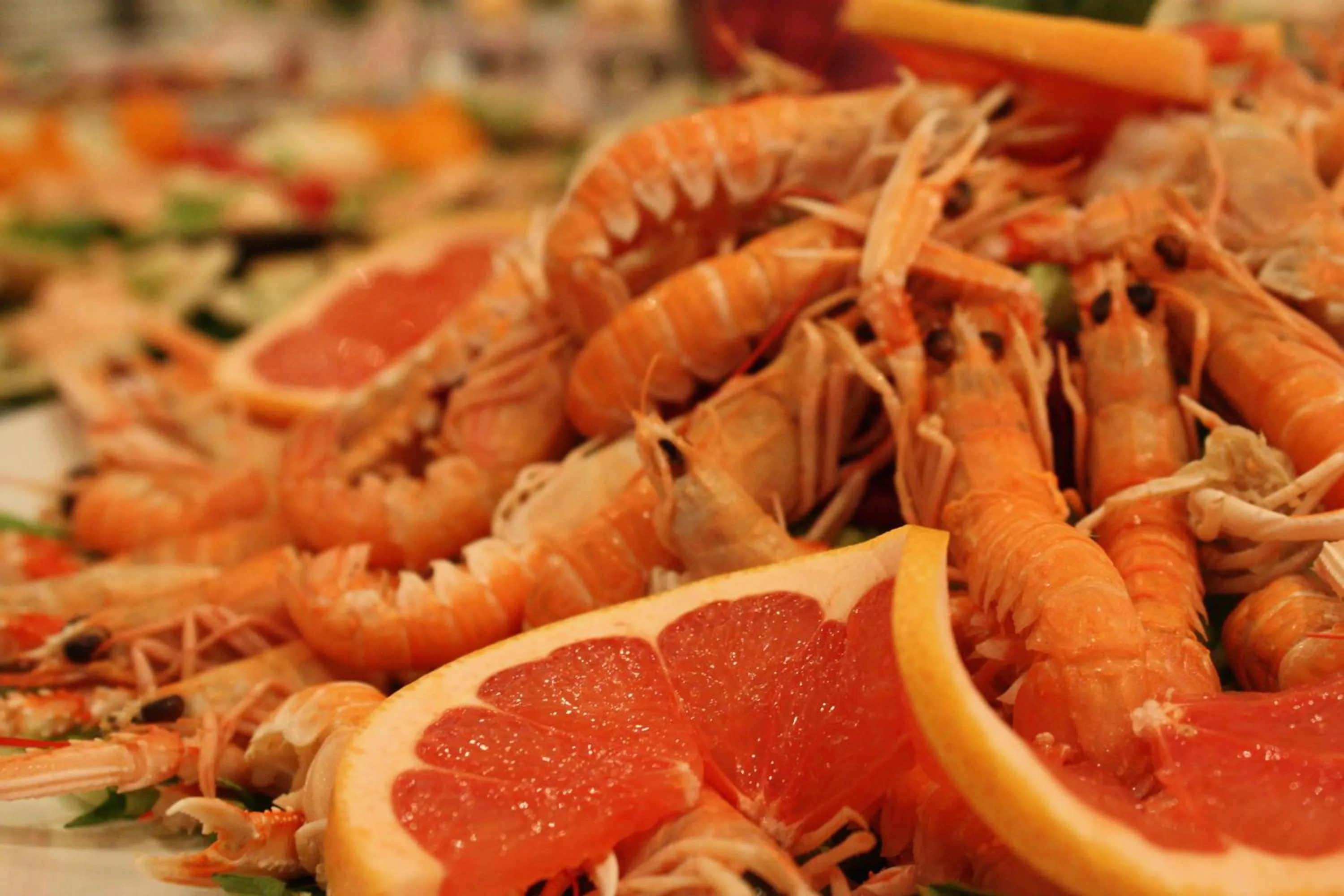 Restaurant/places to eat in Hotel Du Lac