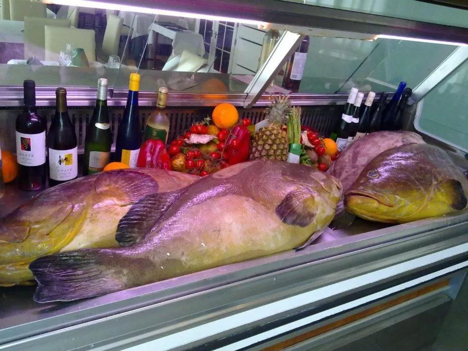 Food in Hotel Mi Casa