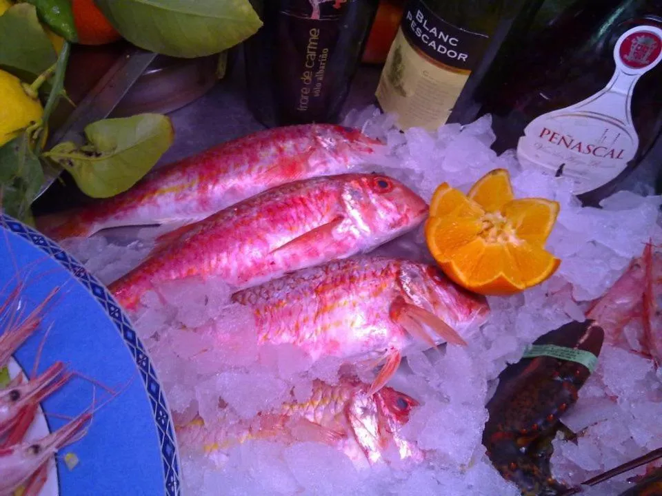 Food in Hotel Mi Casa