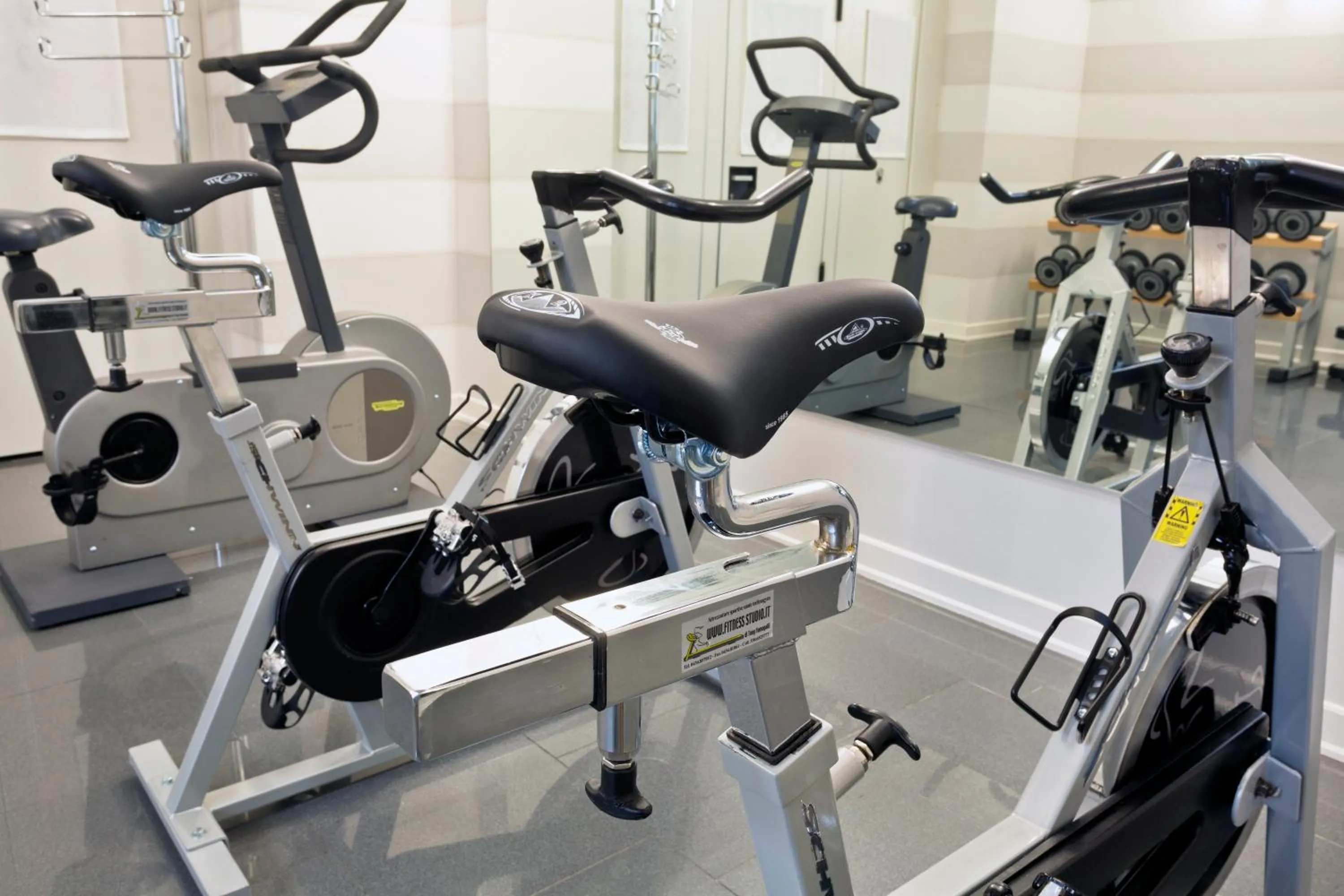 Fitness centre/facilities in Hotel Desenzano