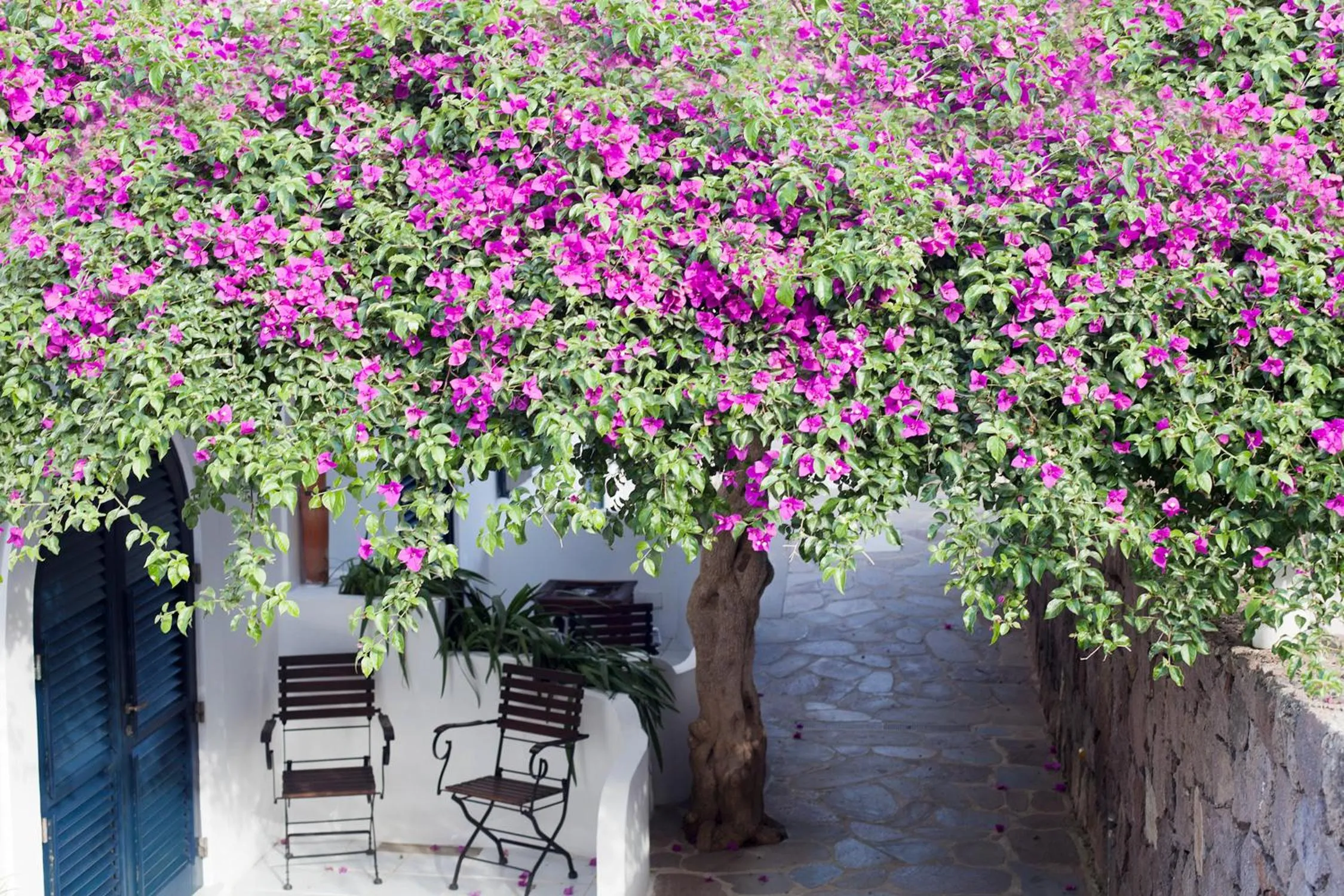 Quartara Boutique Hotel