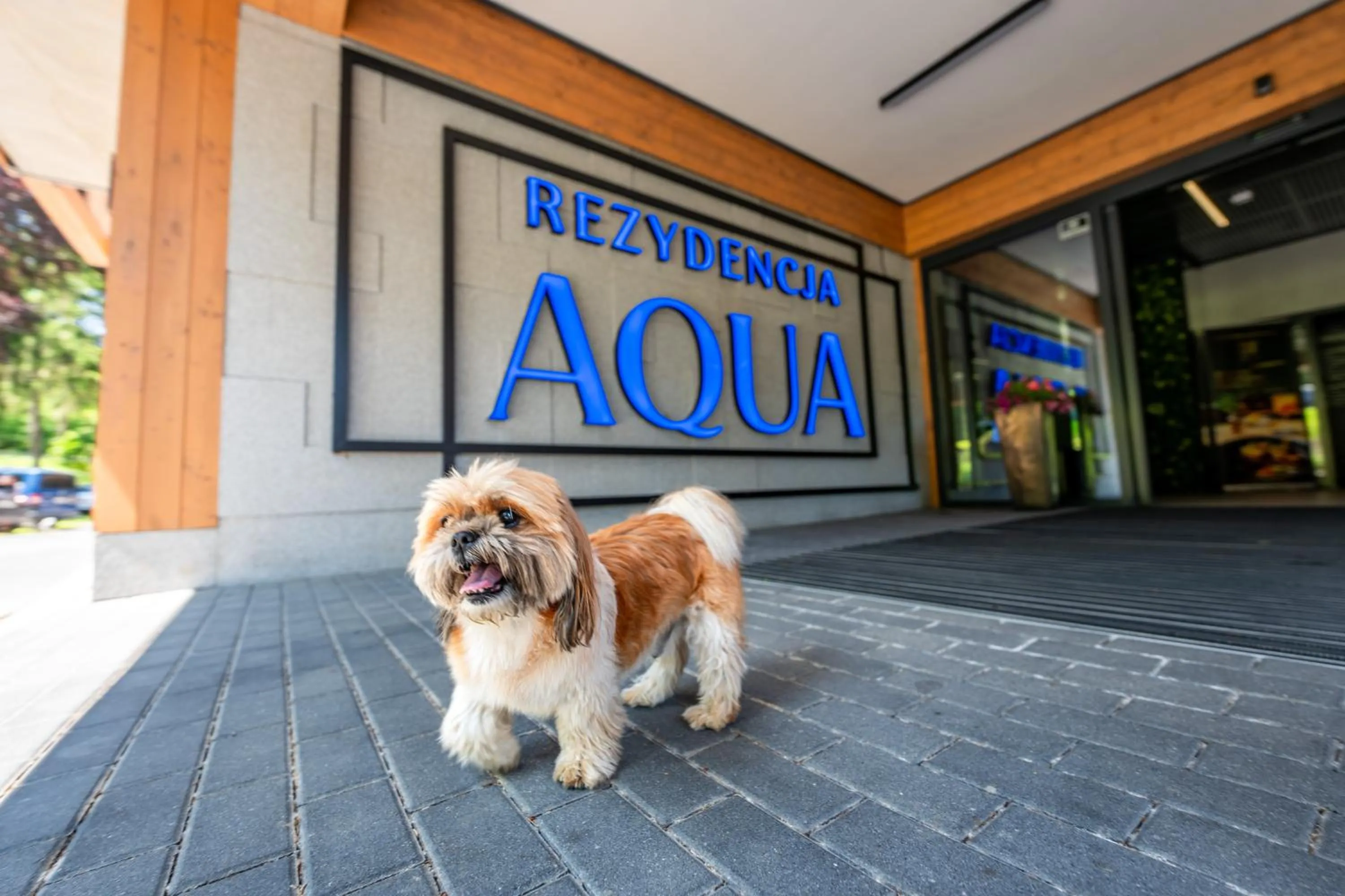 Pets in Rezydencja AQUA by GRANO