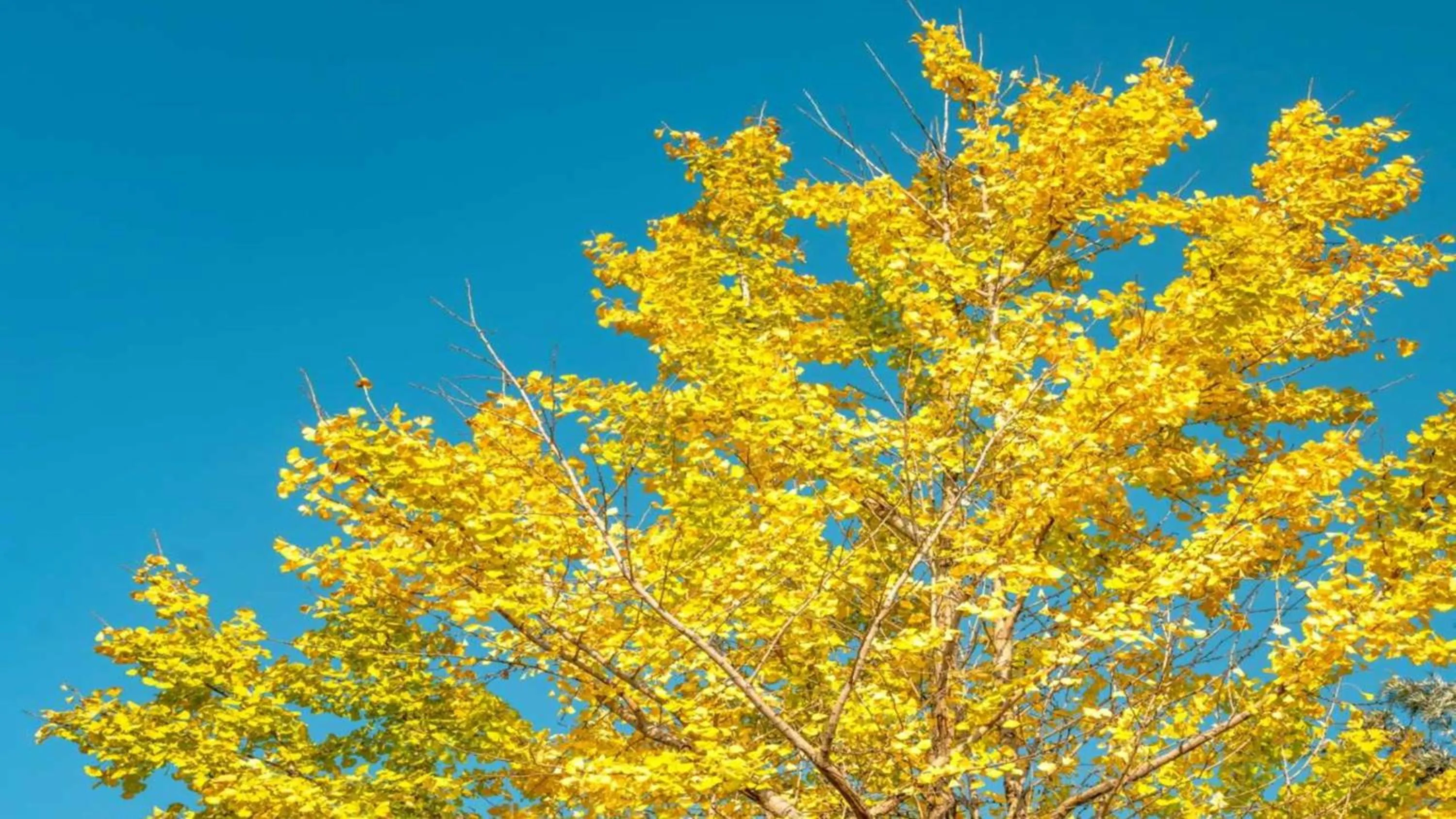 Nearby landmark in Crowne Plaza Kunming City Centre by IHG