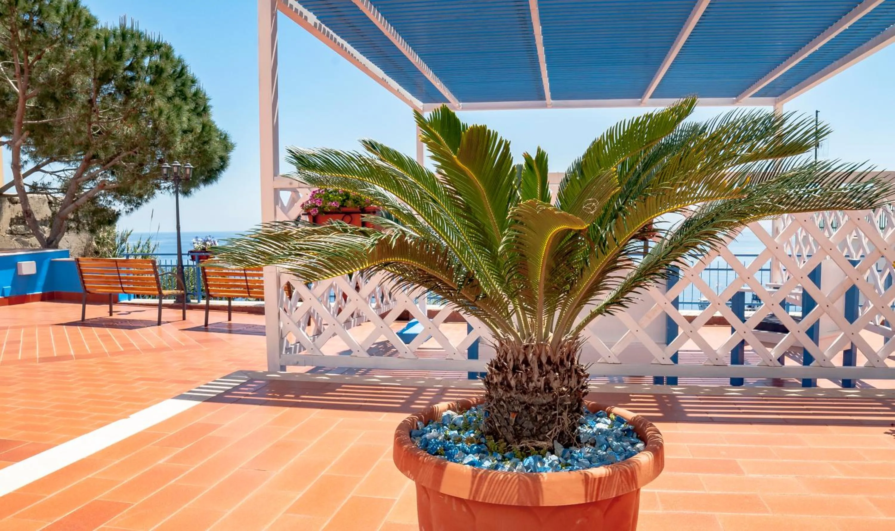 Garden in Sogni Nel Blu