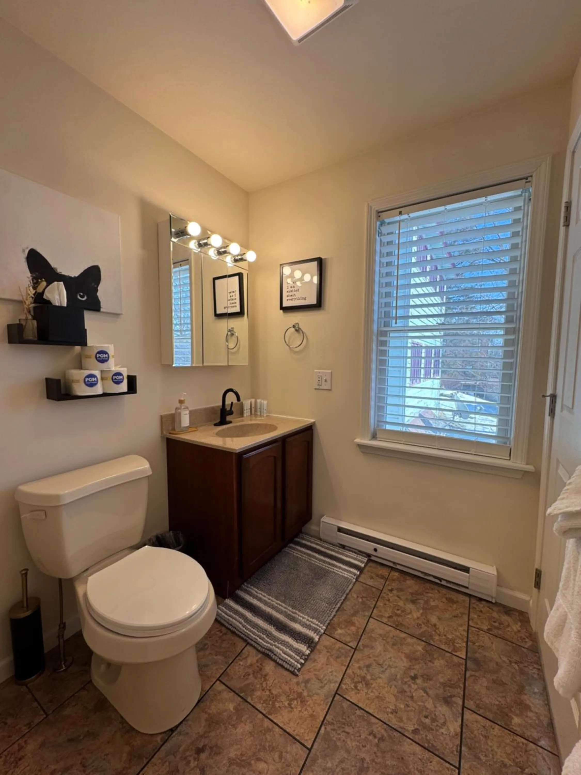 Toilet in Central Lake Placid Mountain Views