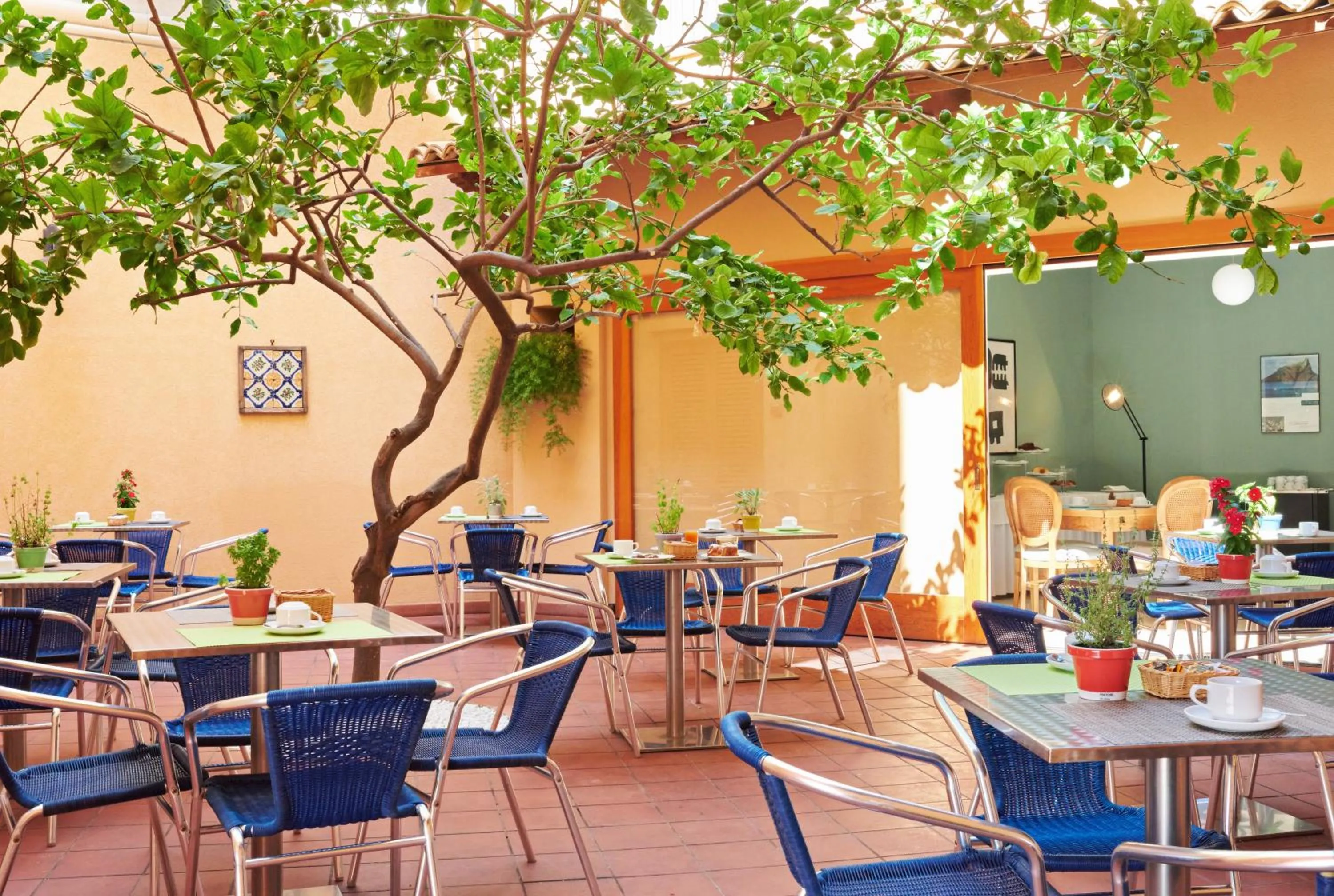 Area and facilities in Hotel Punta Nord Est