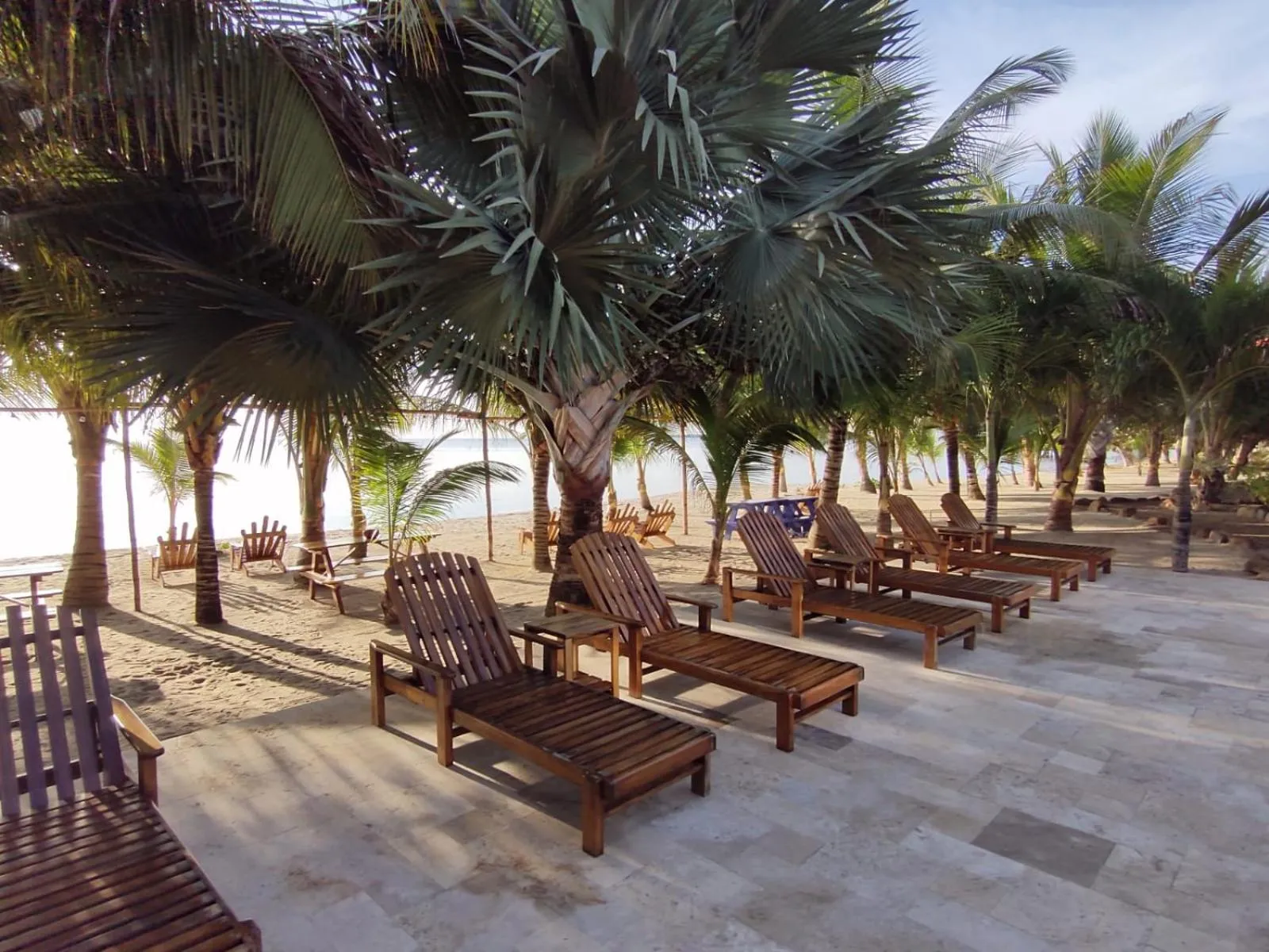 Natural landscape in Ceiba Beach Resort