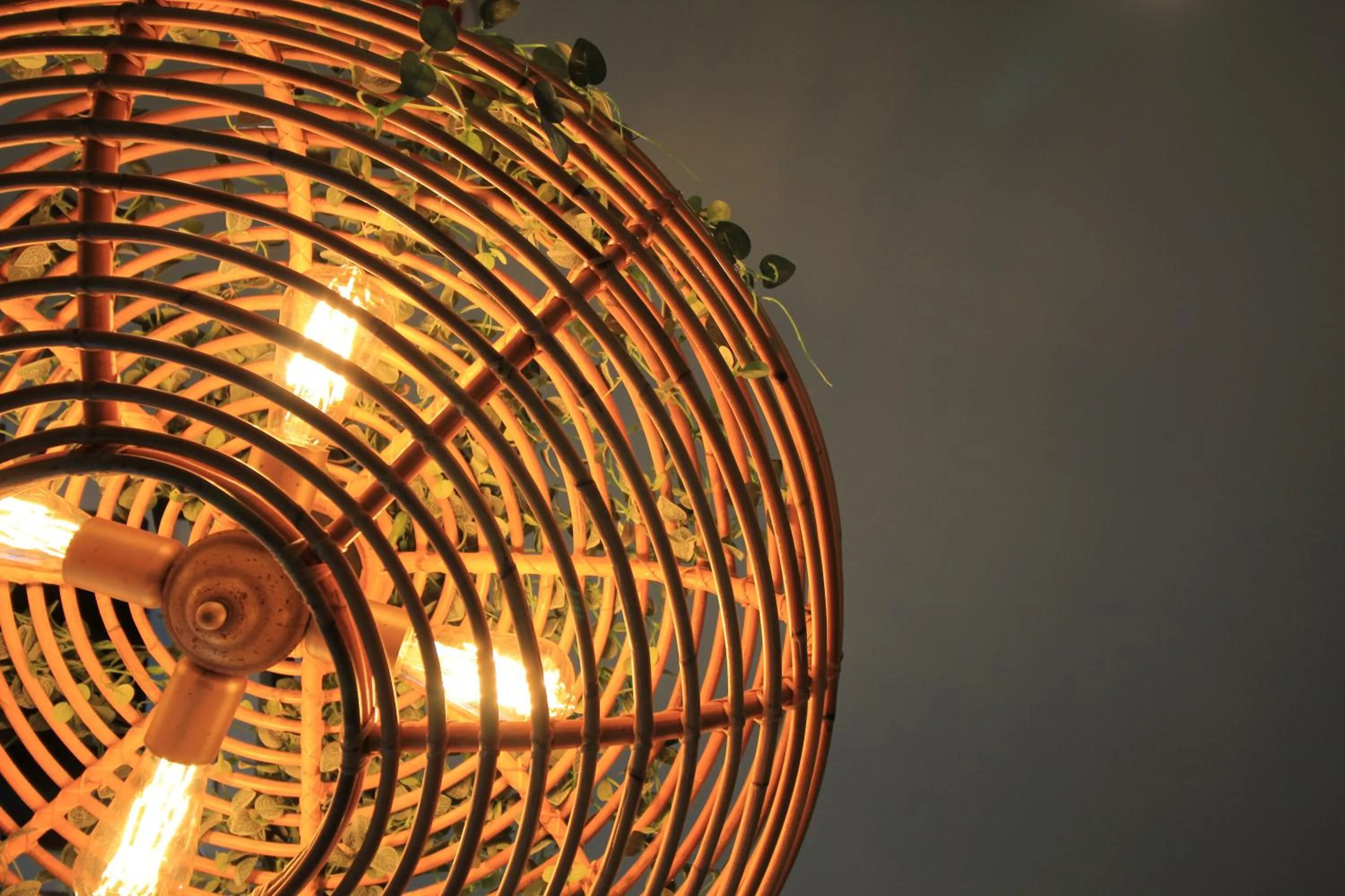 T Shine Resort and Spa