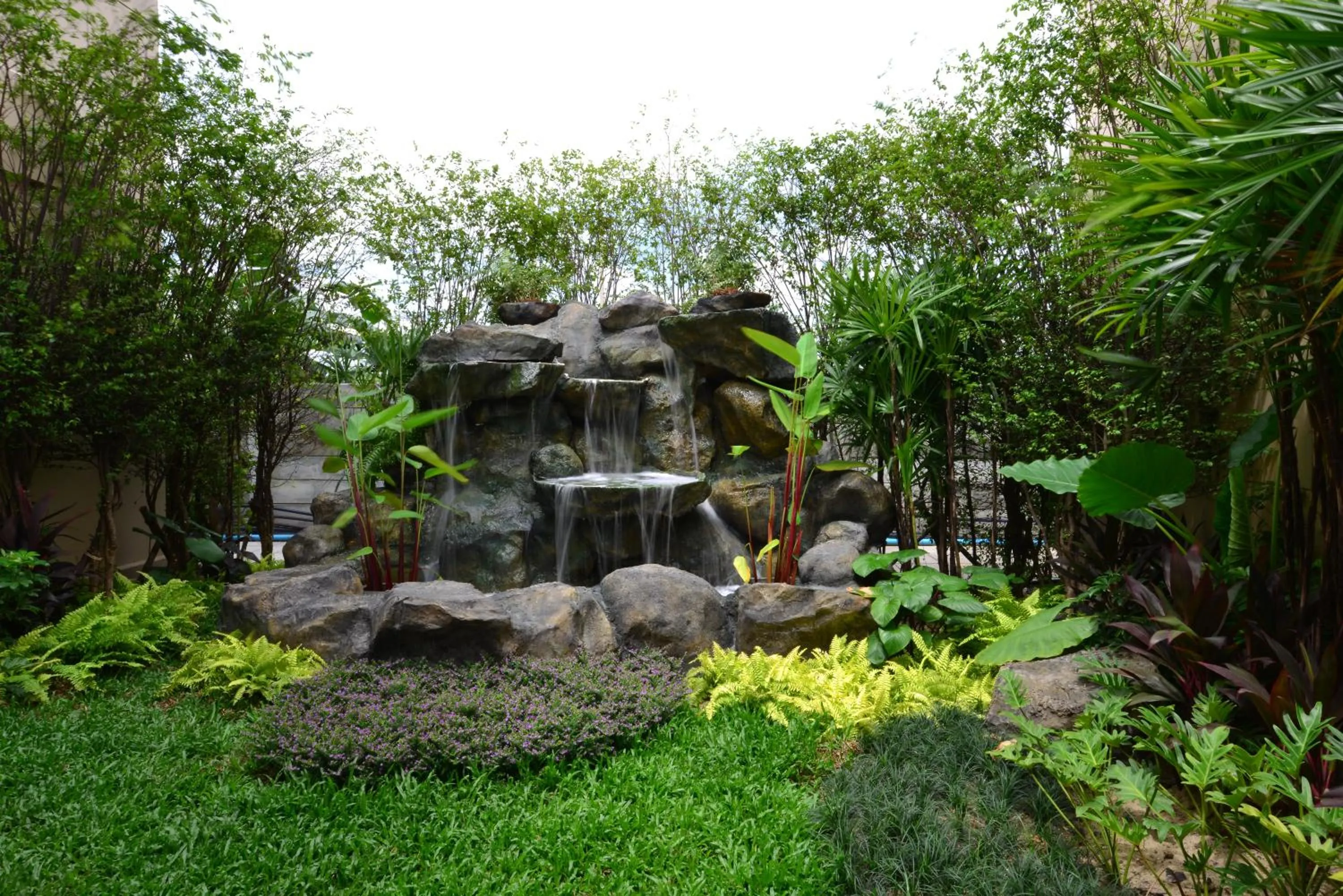 Natural landscape in Grand BS Airport Hotel Suvarnabhumi