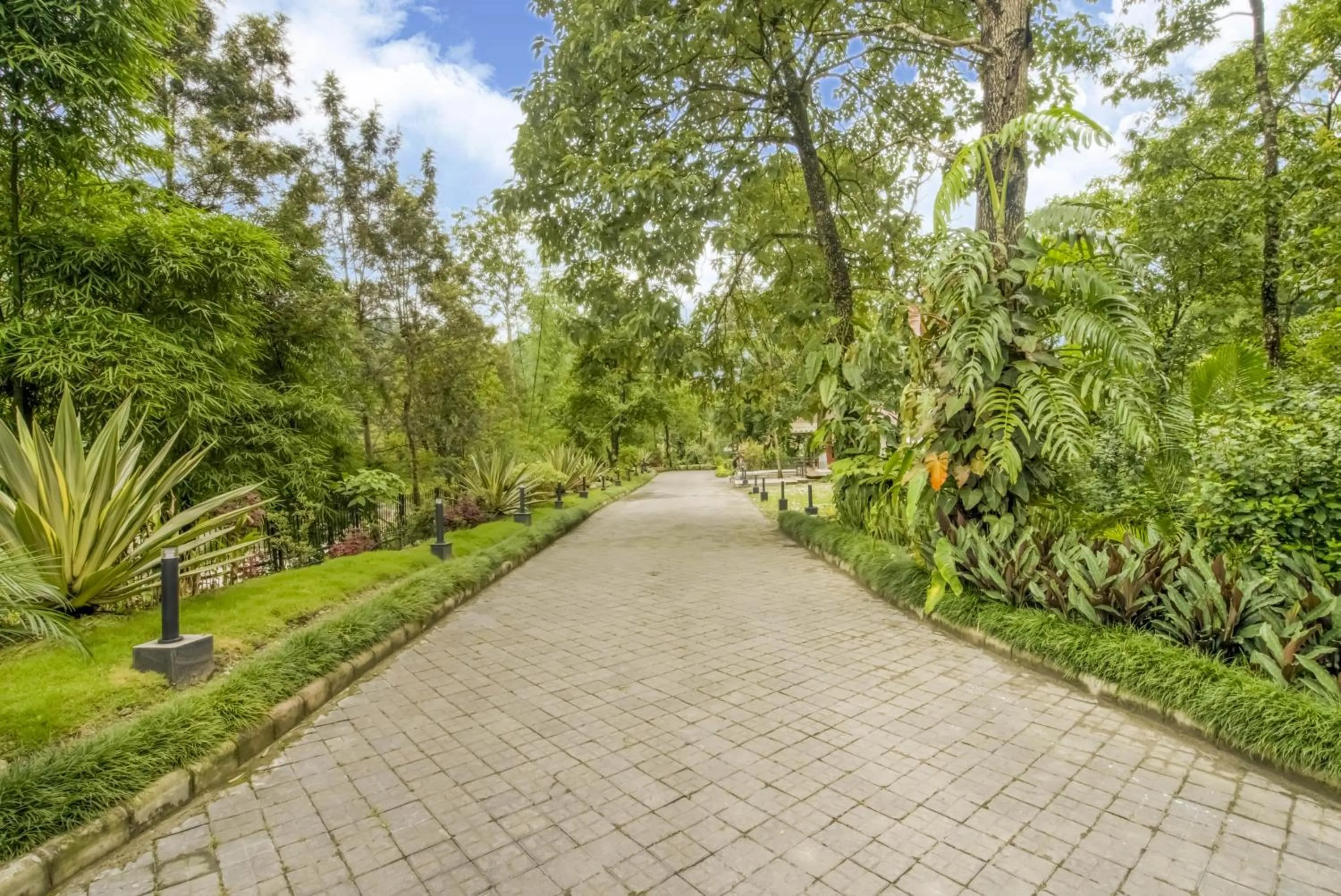 Natural landscape in Club Mahindra Le Vintuna, Gangtok