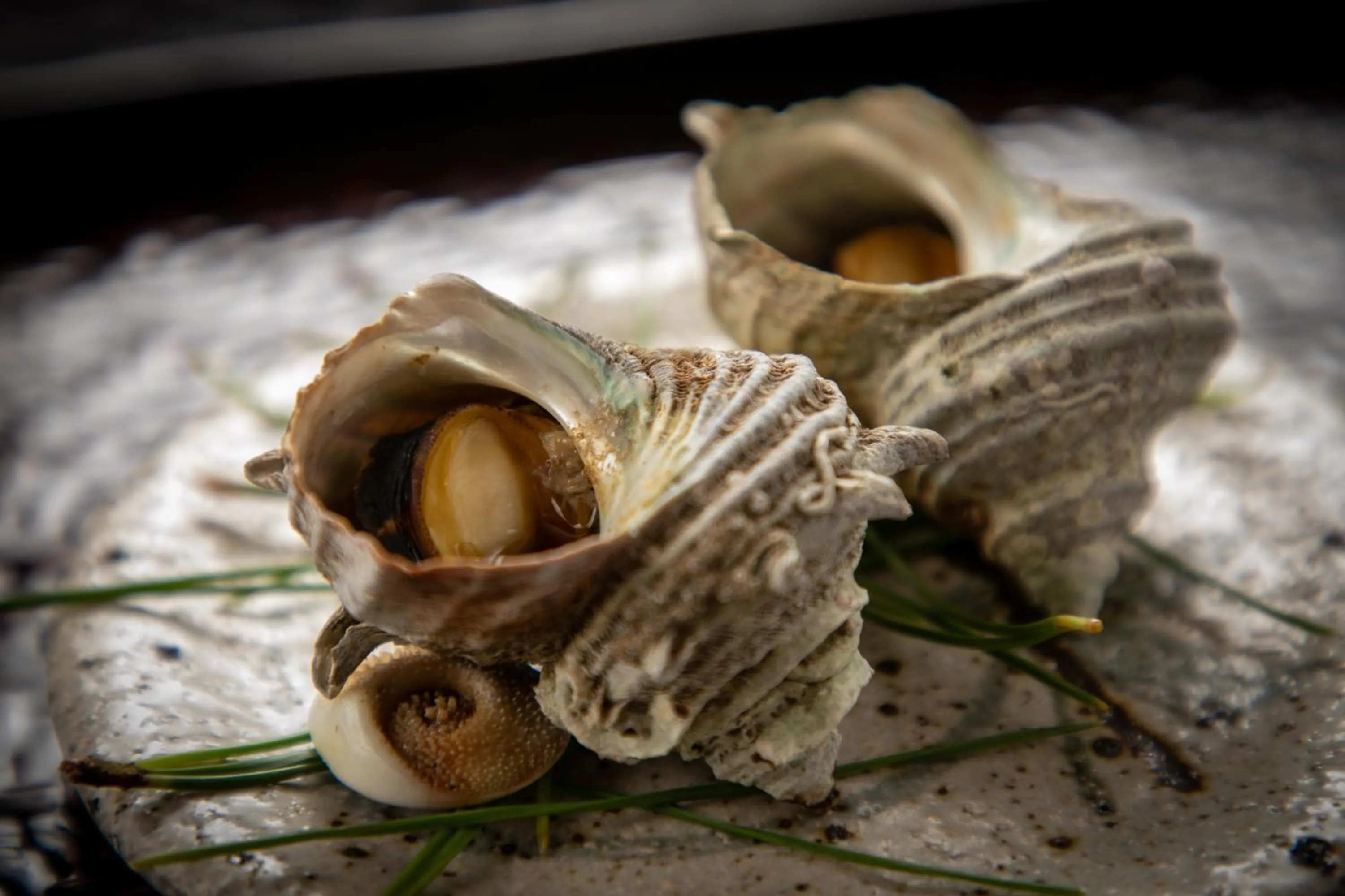 Dinner in Mizuno Ryokan
