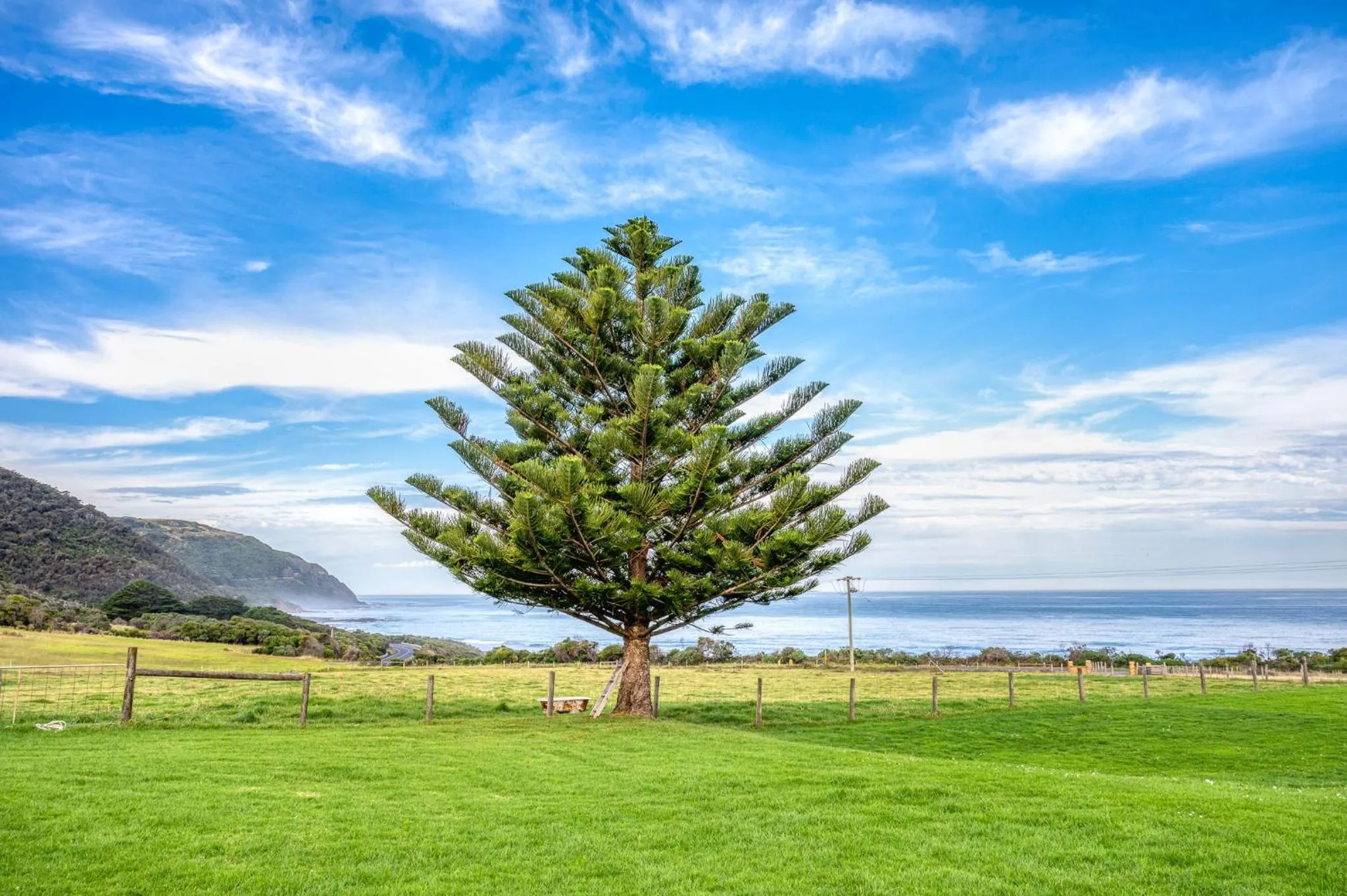 Garden in Seacroft Estate