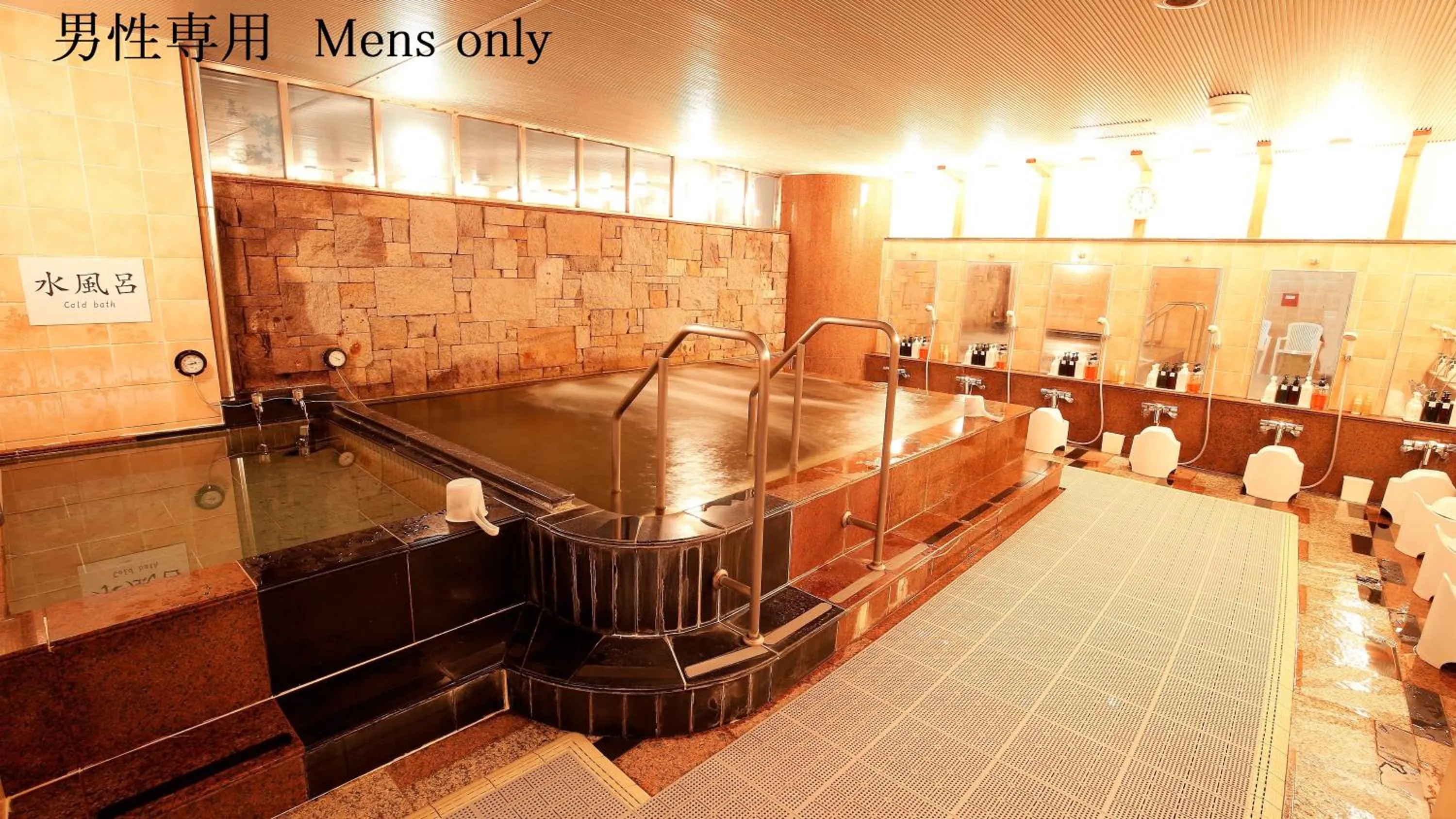Sauna in Asakusa Central Hotel