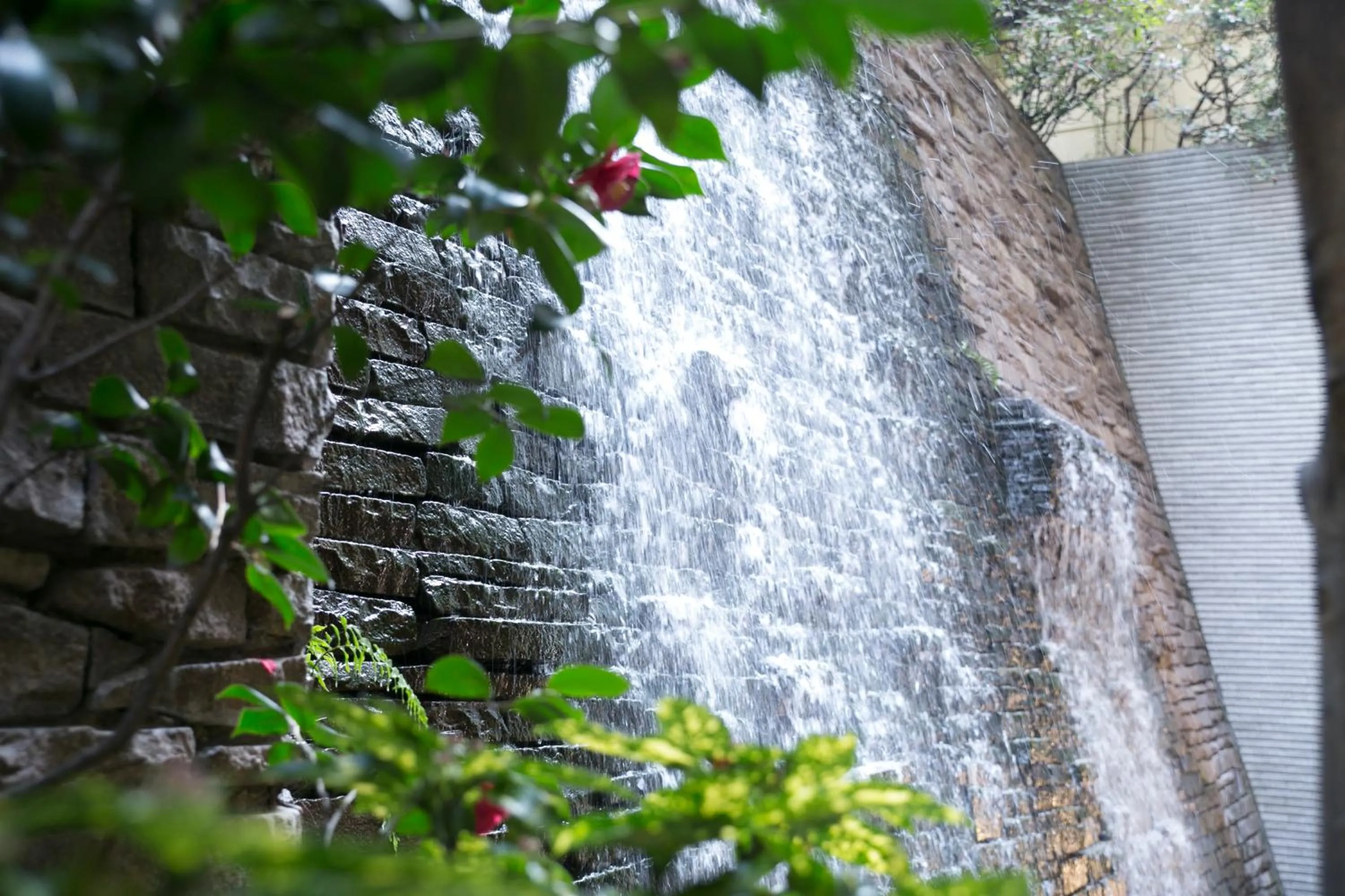 Garden in Matsui Honkan
