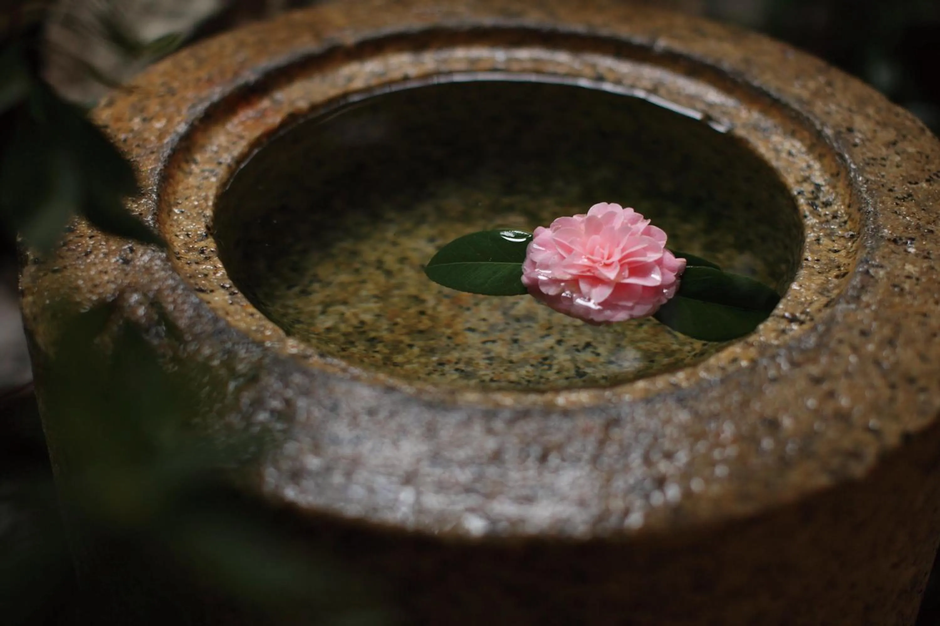 Other in Matsui Honkan