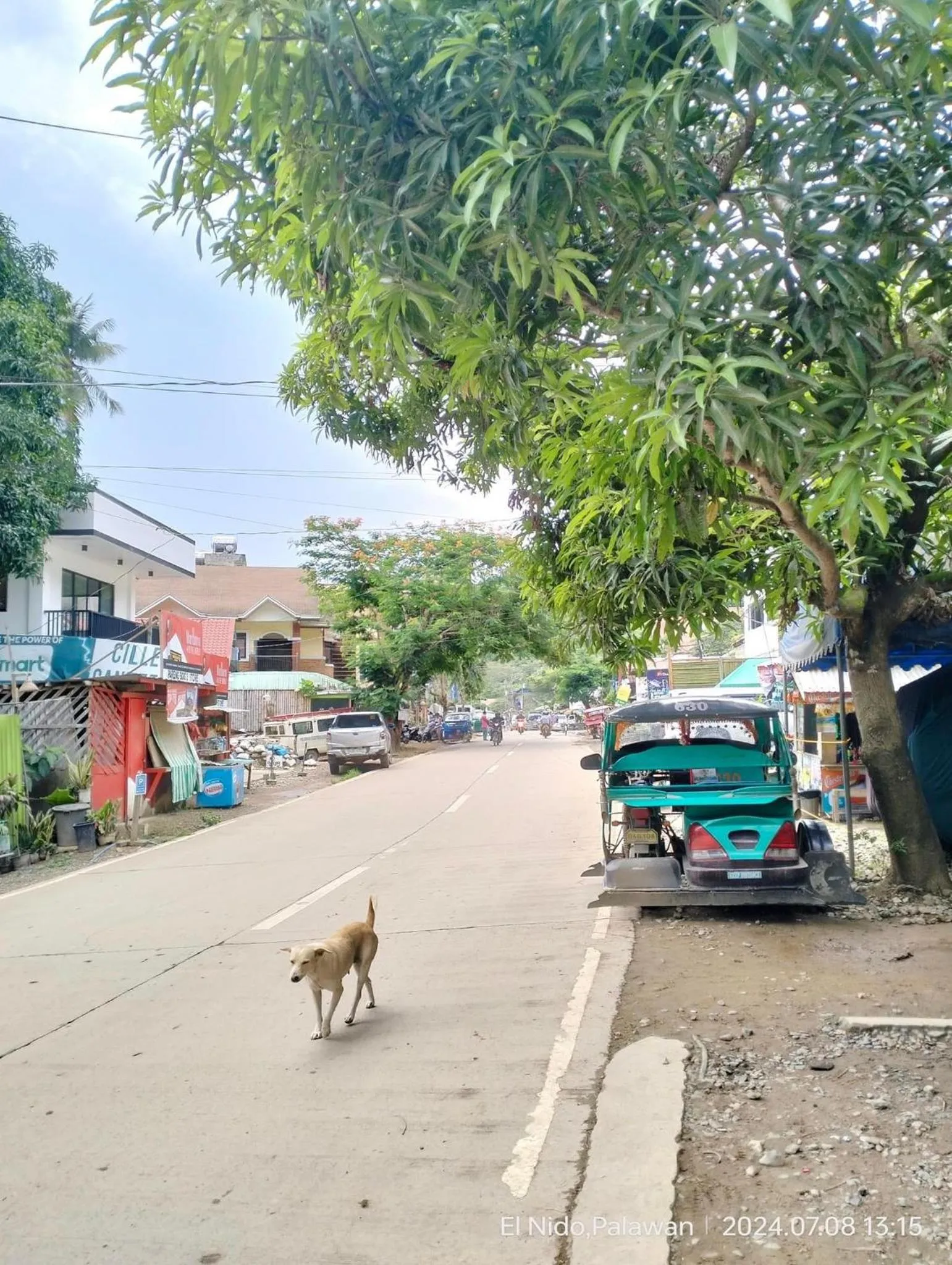 Neighbourhood in Buena's Haven Travelodge
