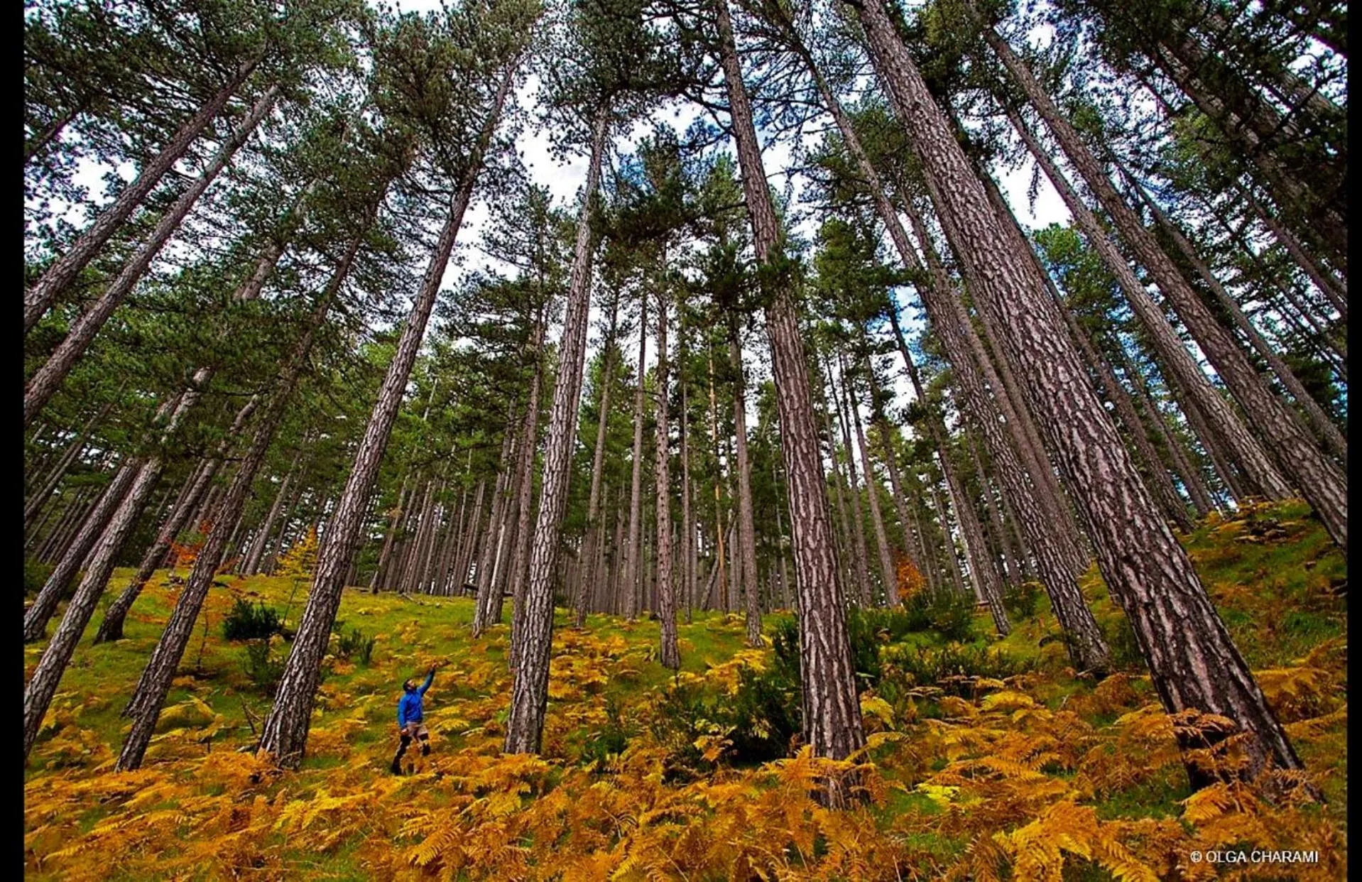 Valia Nostra Escape Hotel