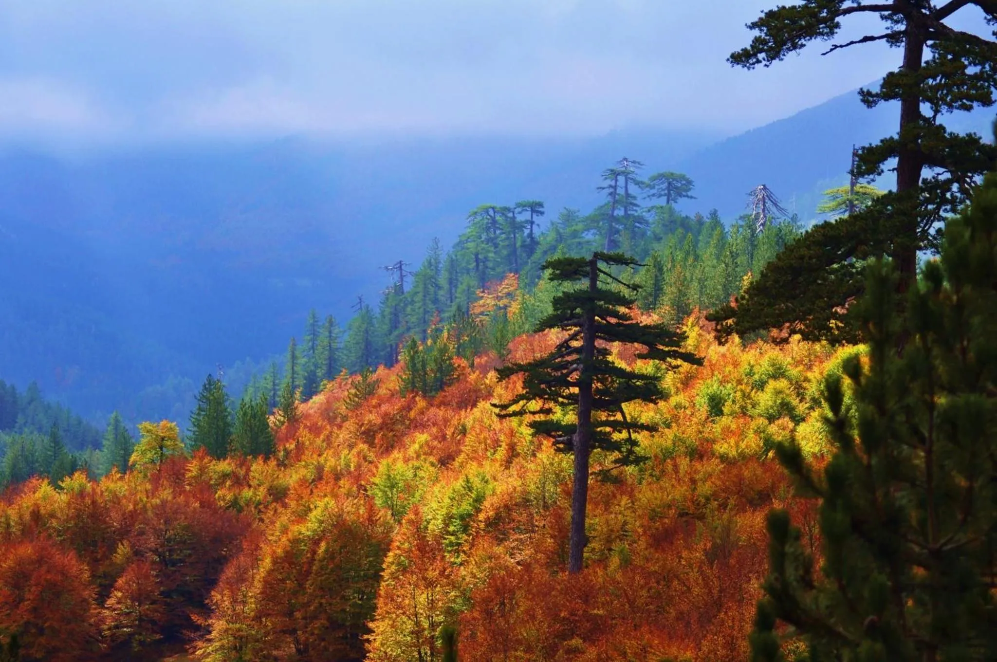 Autumn in Valia Nostra Escape Hotel