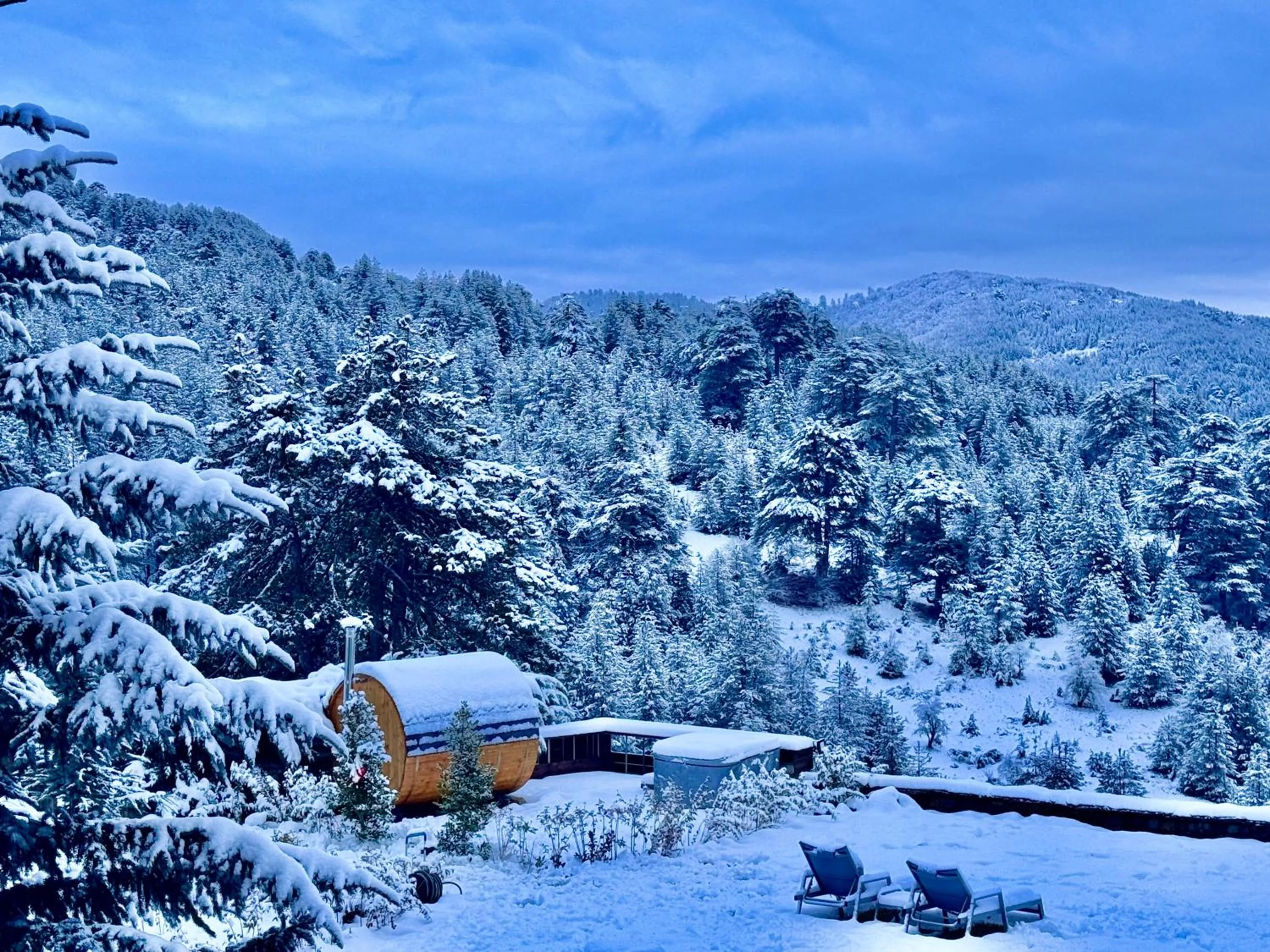 Garden in Valia Nostra Escape Hotel