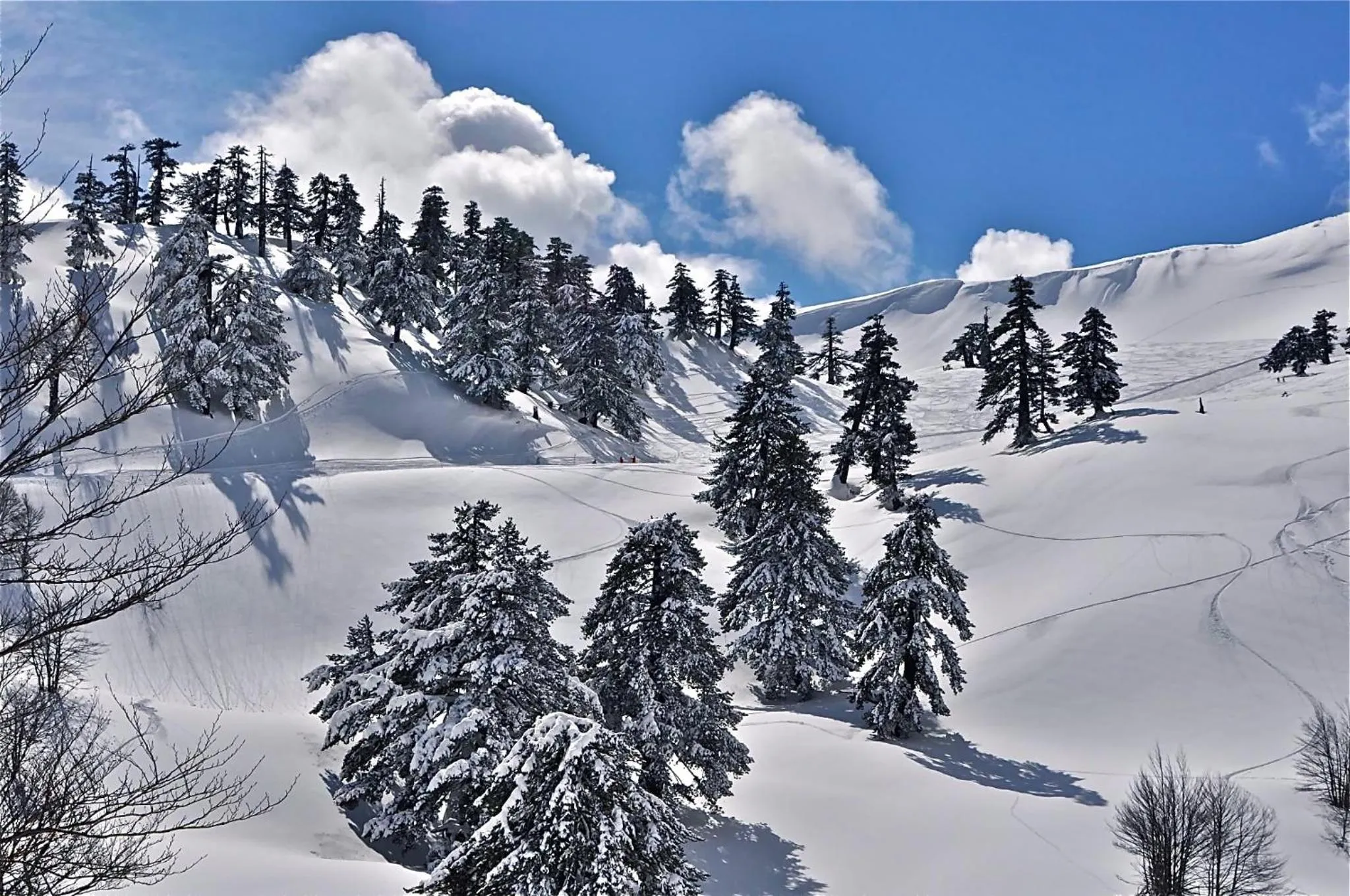 Ski School in Valia Nostra Escape Hotel