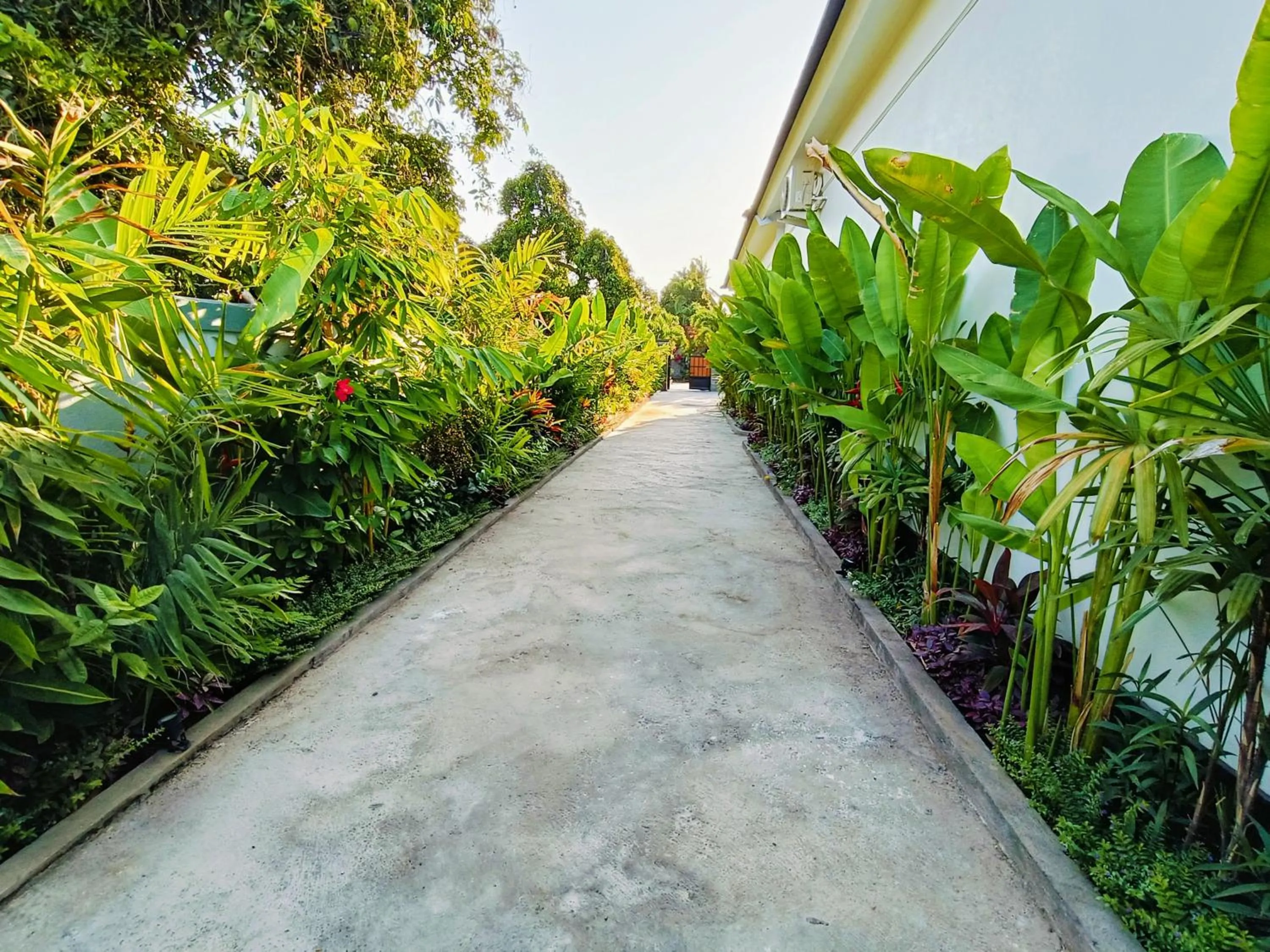 Natural landscape in Villa TWIN FLOWER