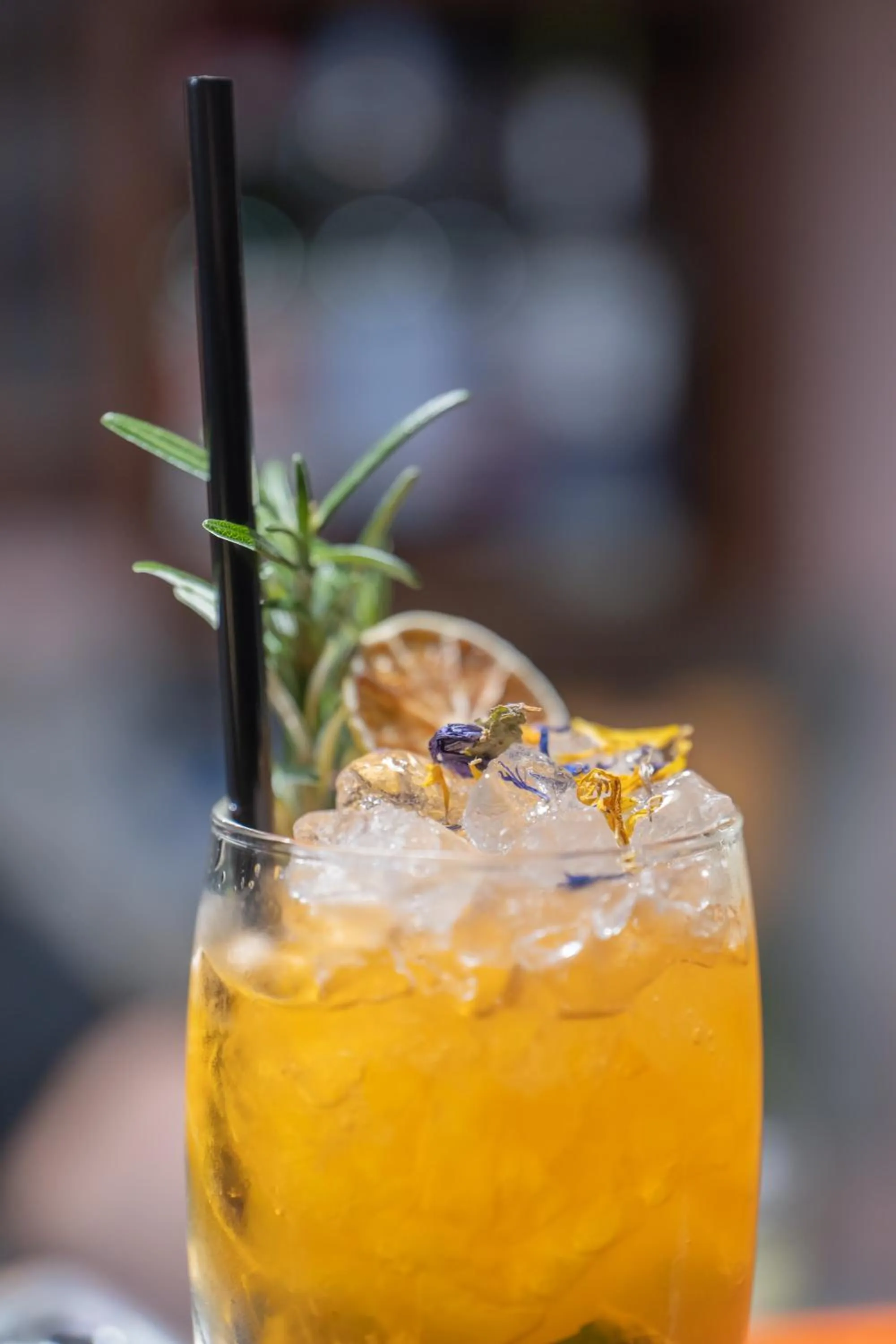 Balcony/Terrace in Ostello degli Elefanti