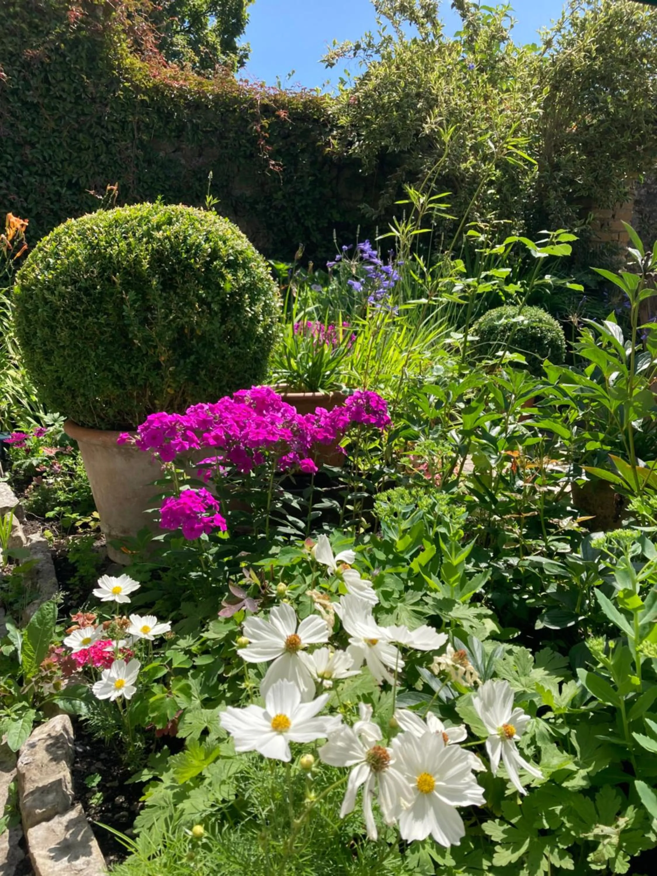 Garden in Maplestone