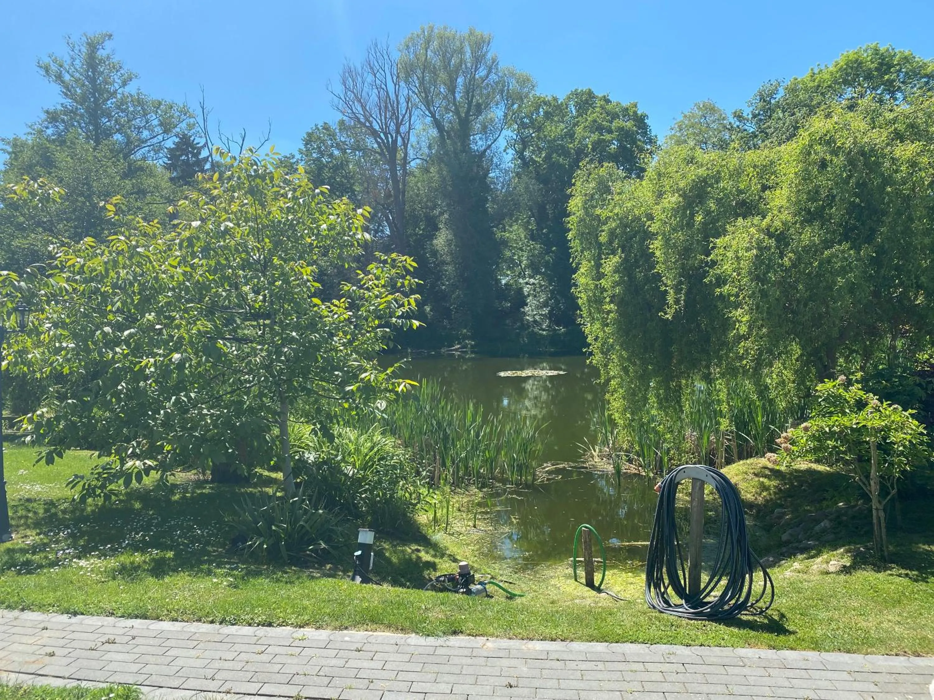 Garden in Jagdschloss lalendorf