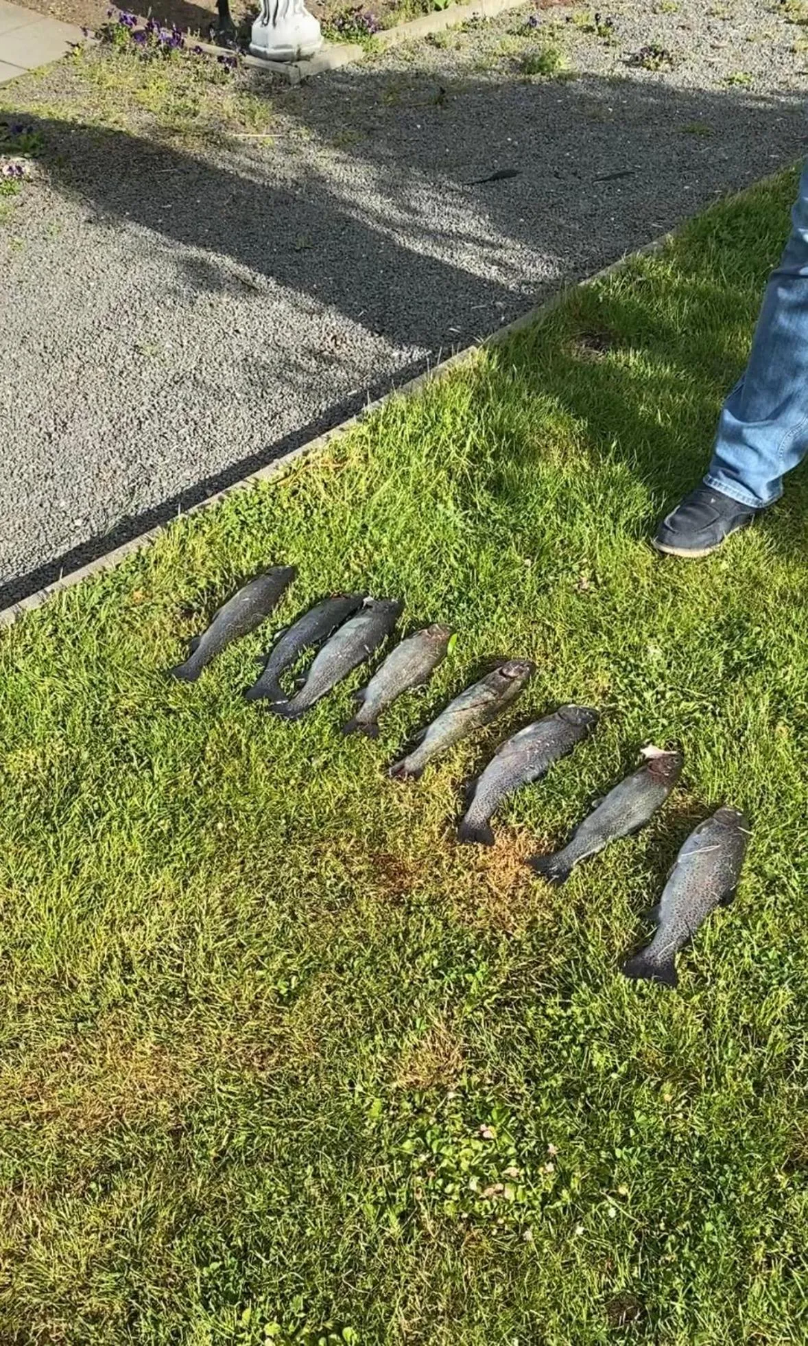 Garden in Jagdschloss lalendorf