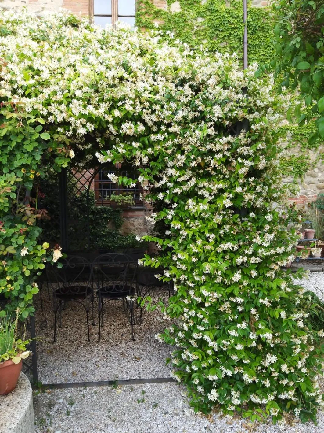 Relais Mastro Cinghiale