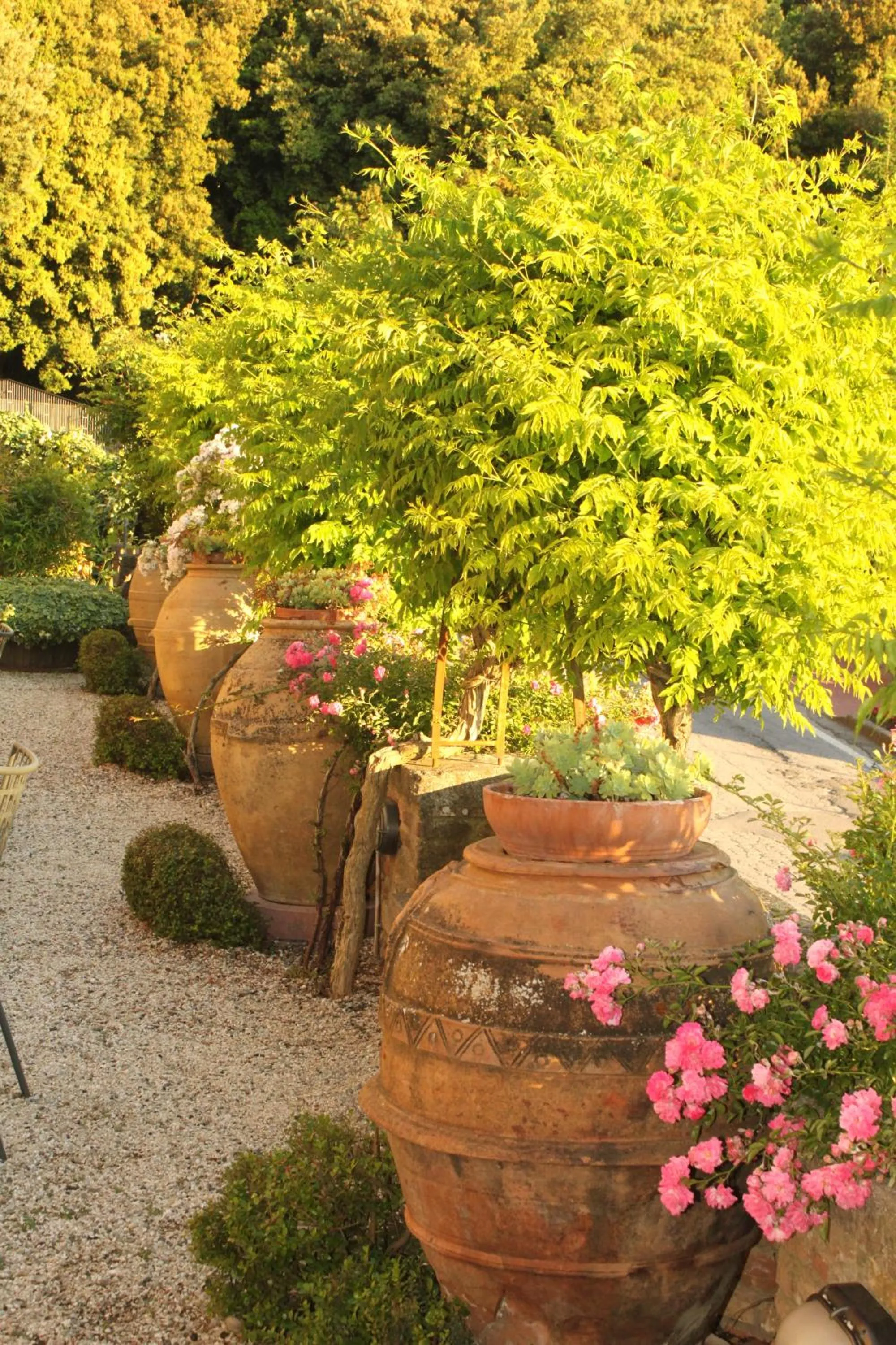 Garden in Relais Mastro Cinghiale