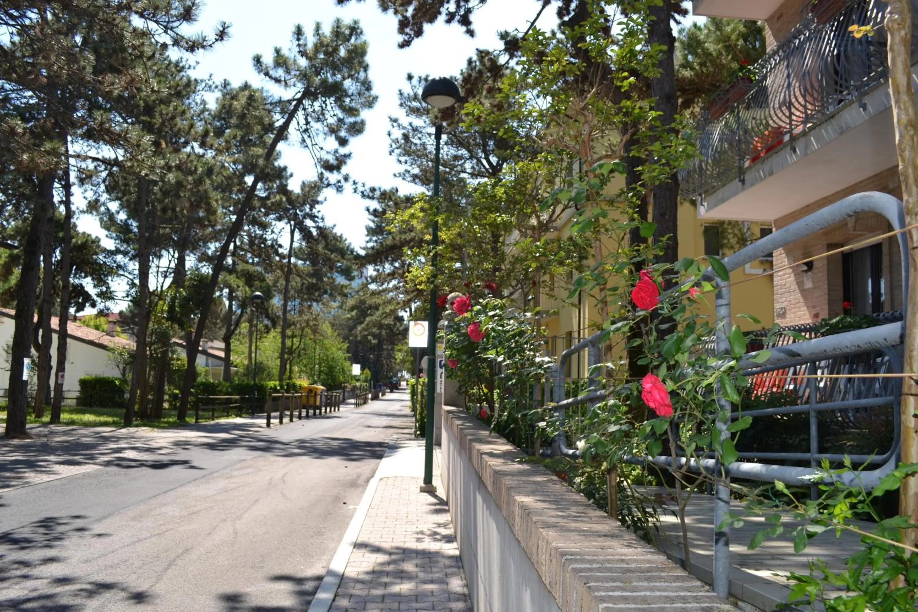 Street view in Hotel Acapulco