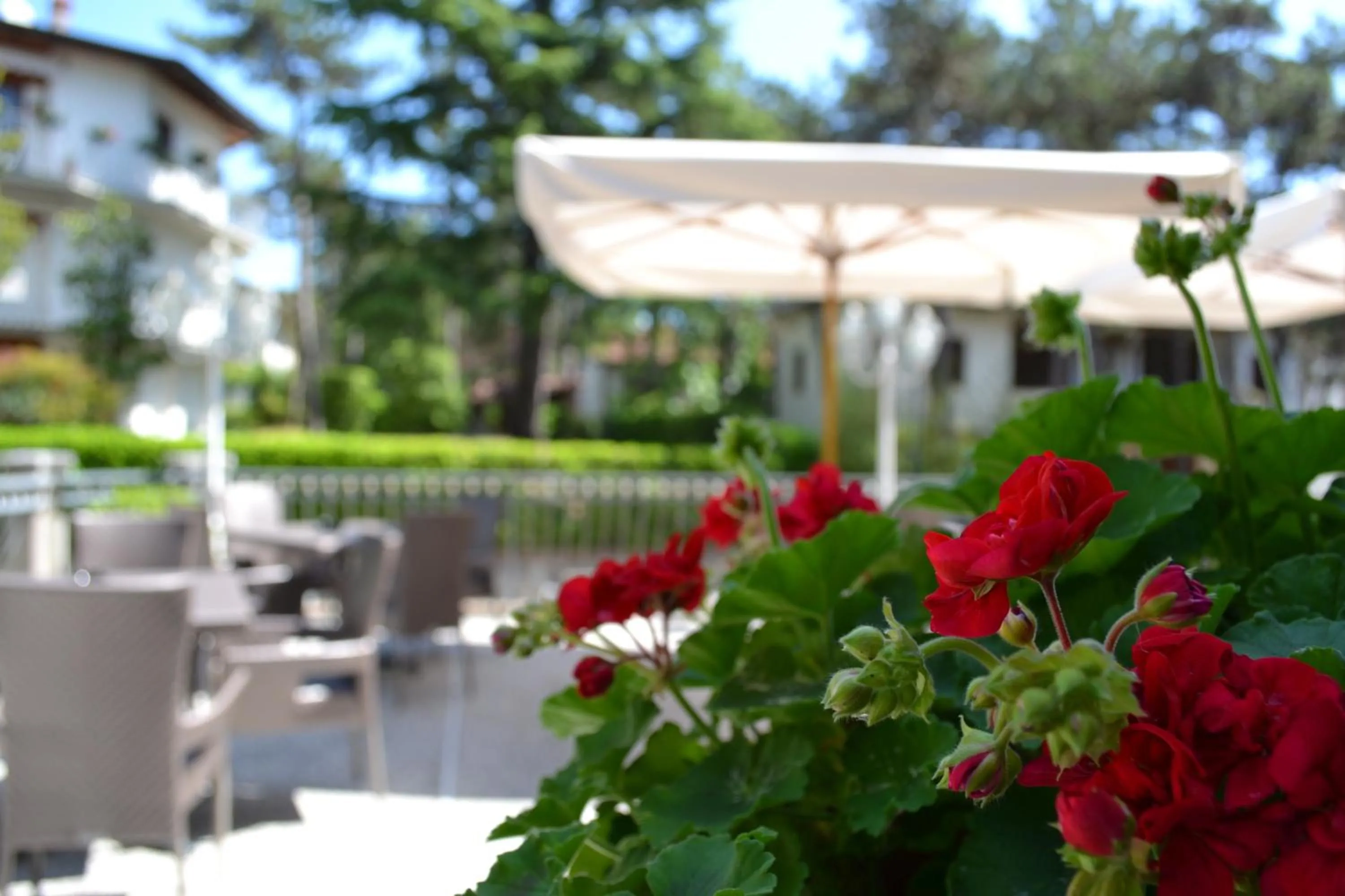 Decorative detail in Hotel Acapulco