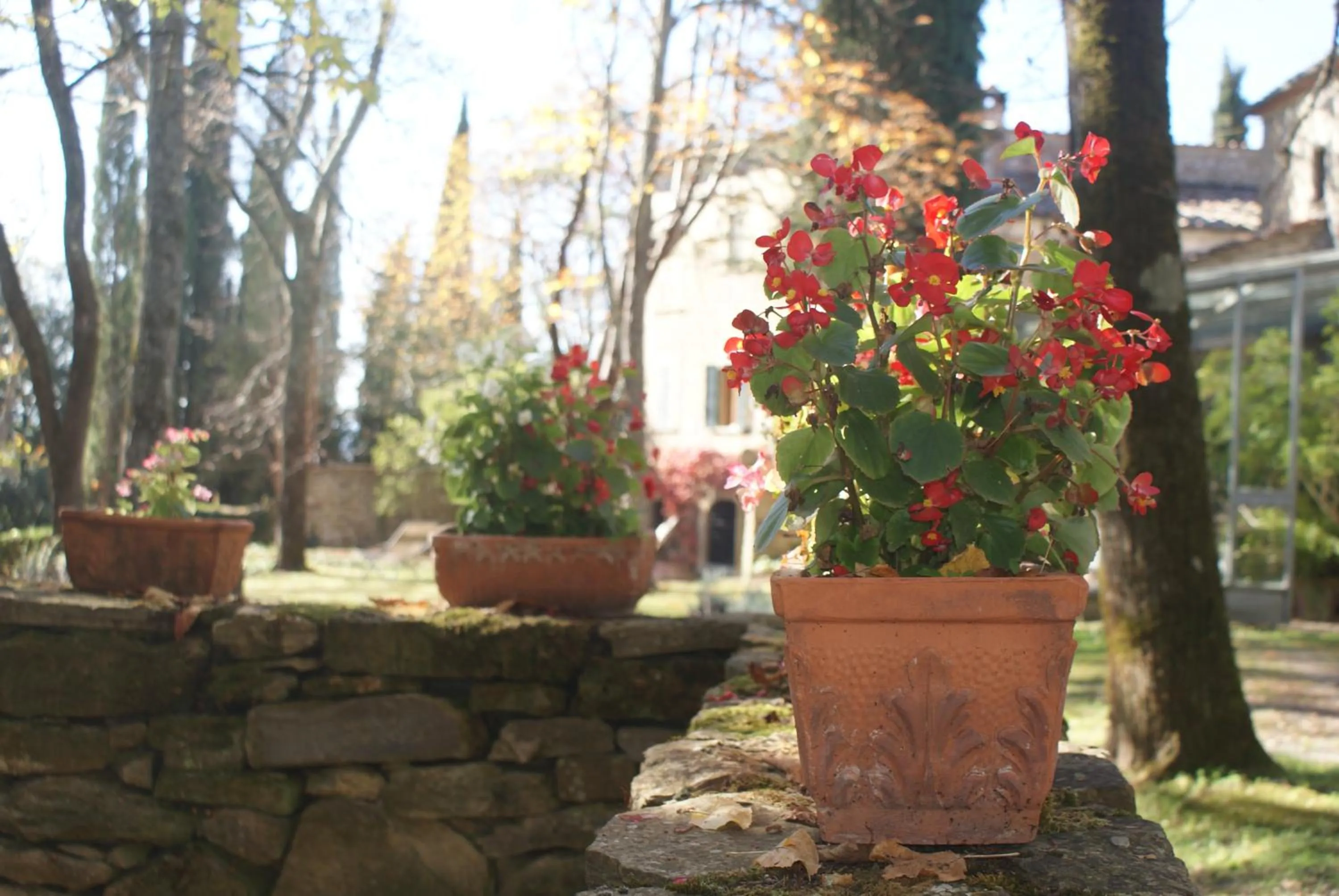 Garden in Relais La Torre
