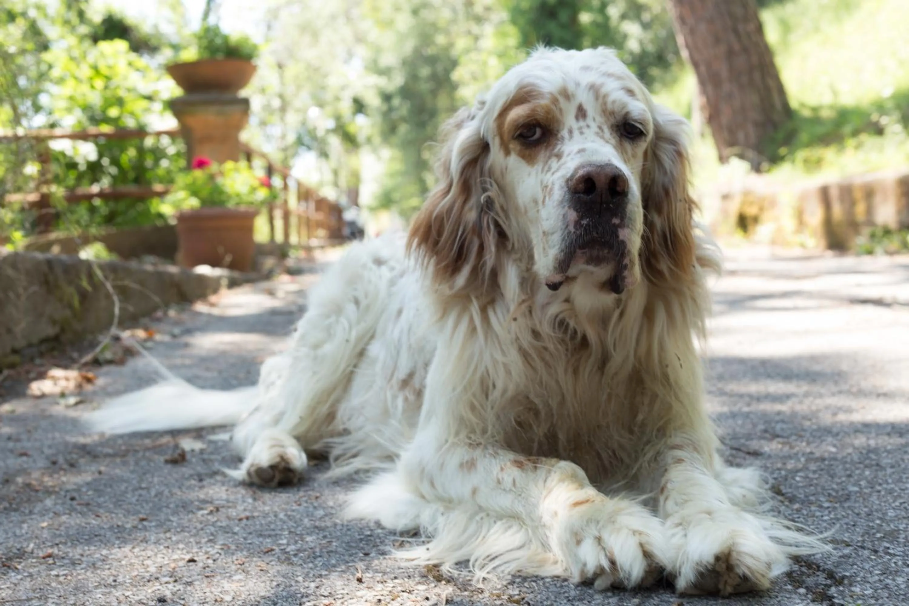 Decorative detail in Villa Romita