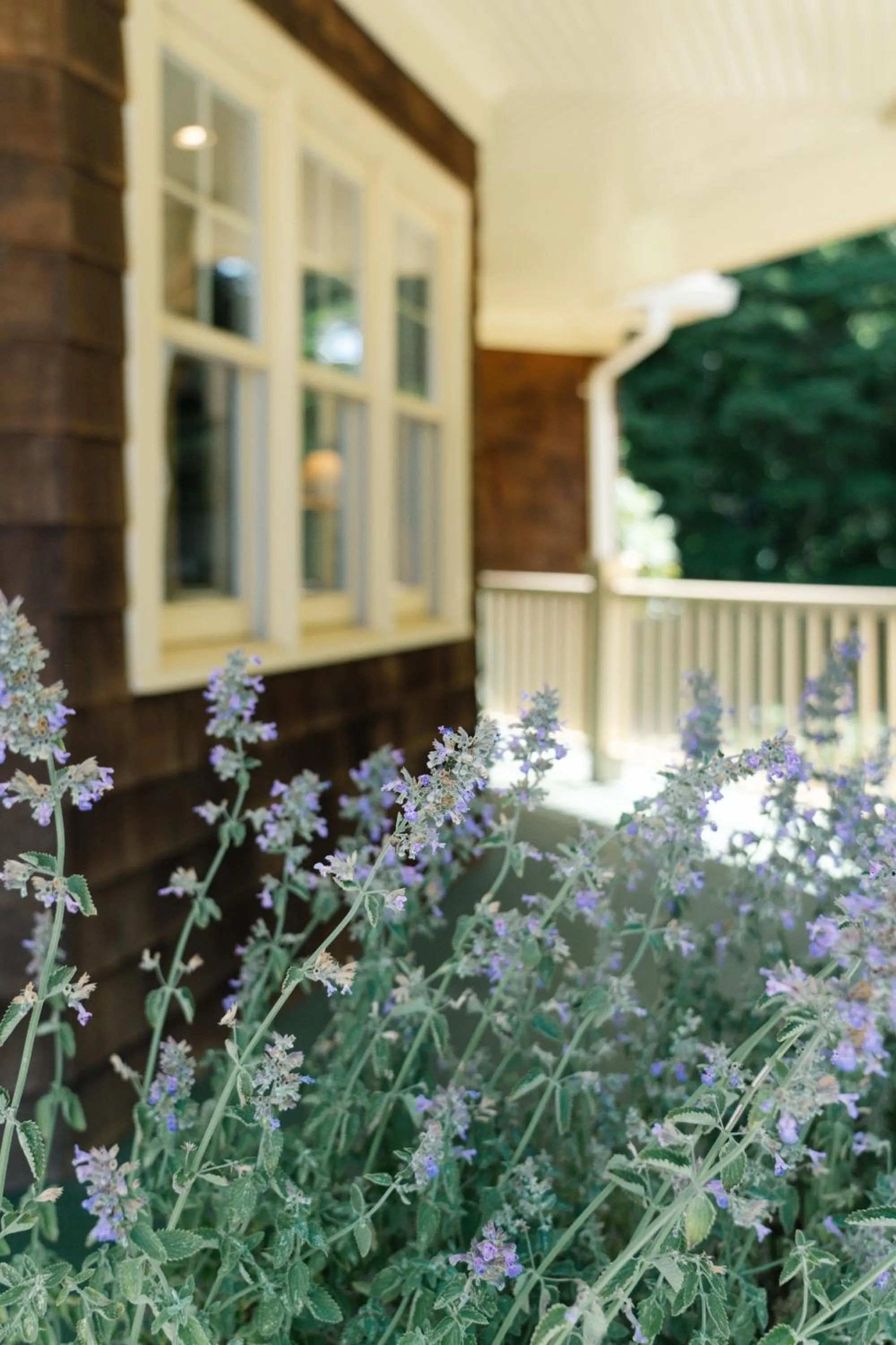 Garden in The Sagaponack