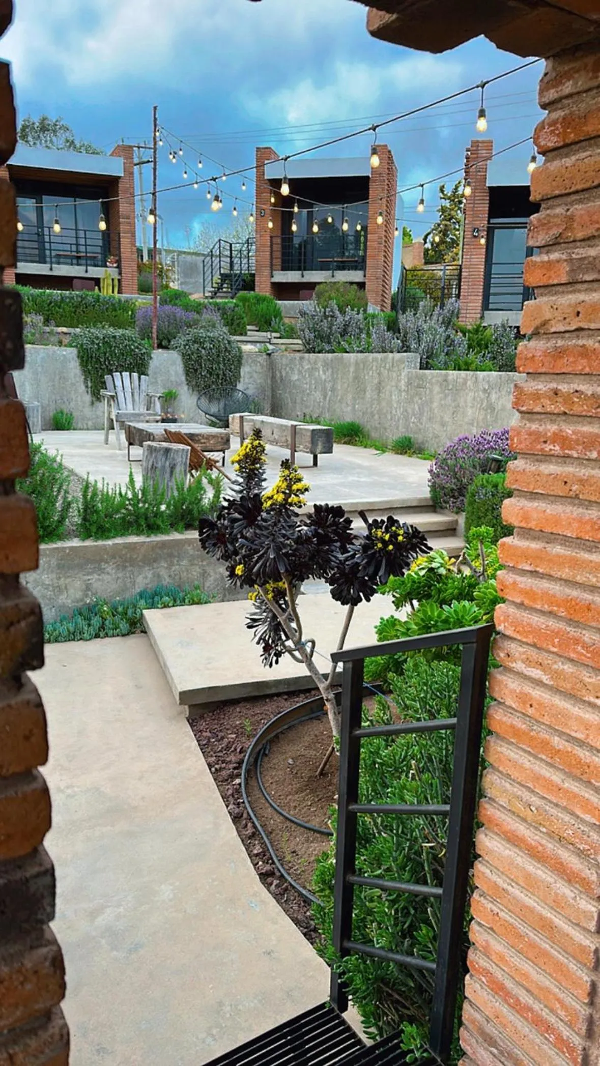 Off site in Hotel Otero Valle de Guadalupe