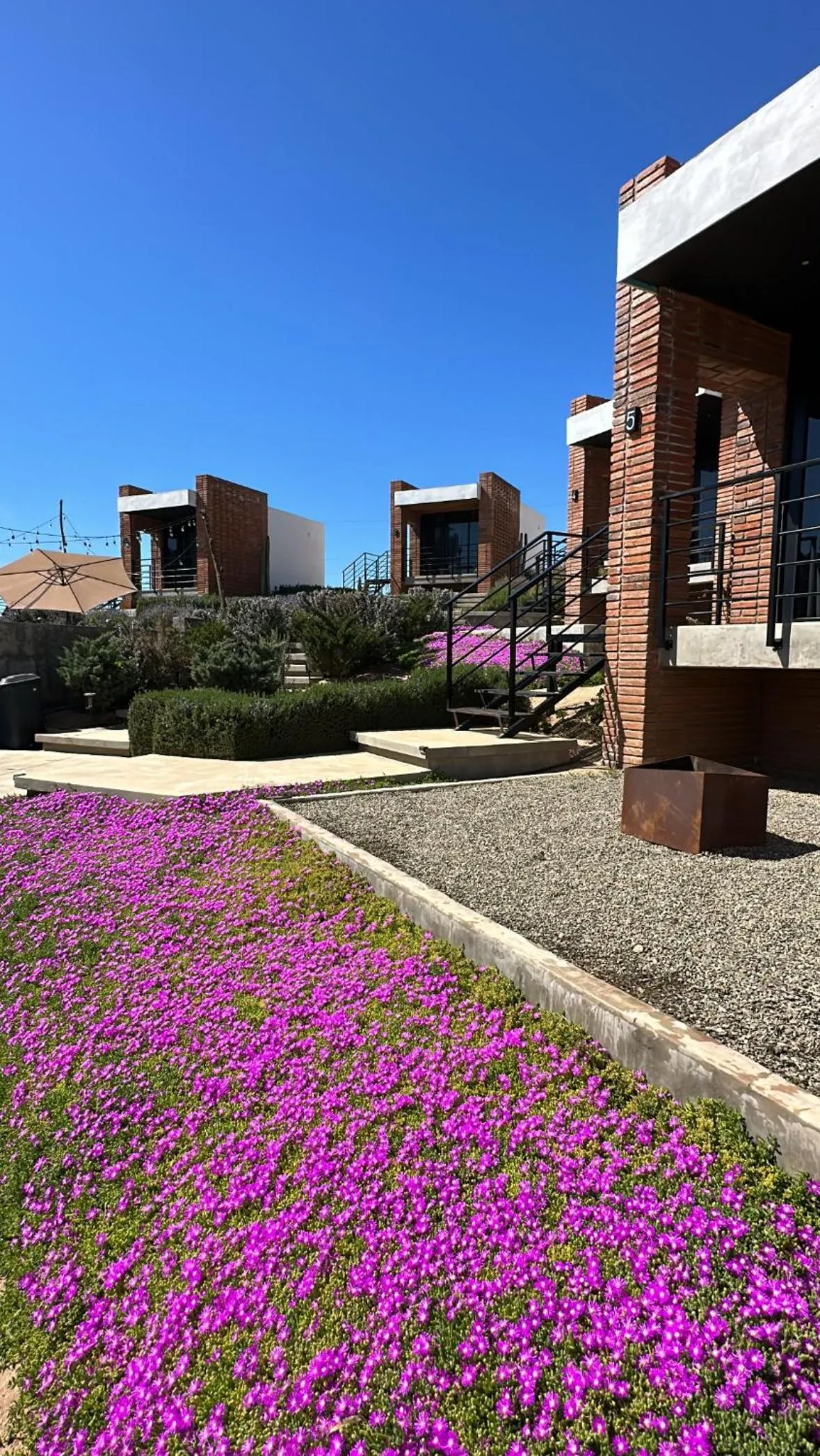 Garden in Hotel Otero Valle de Guadalupe