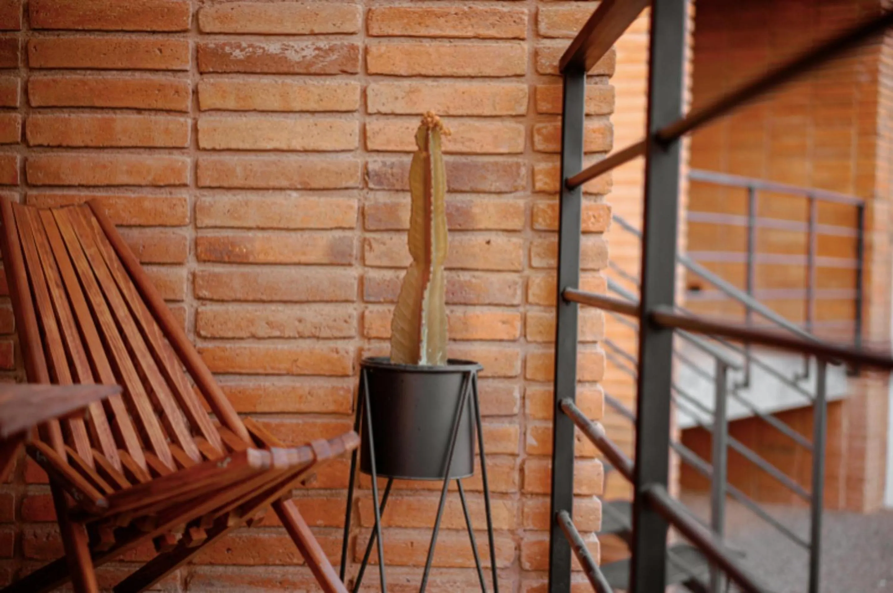 Balcony/Terrace in Hotel Otero Valle de Guadalupe