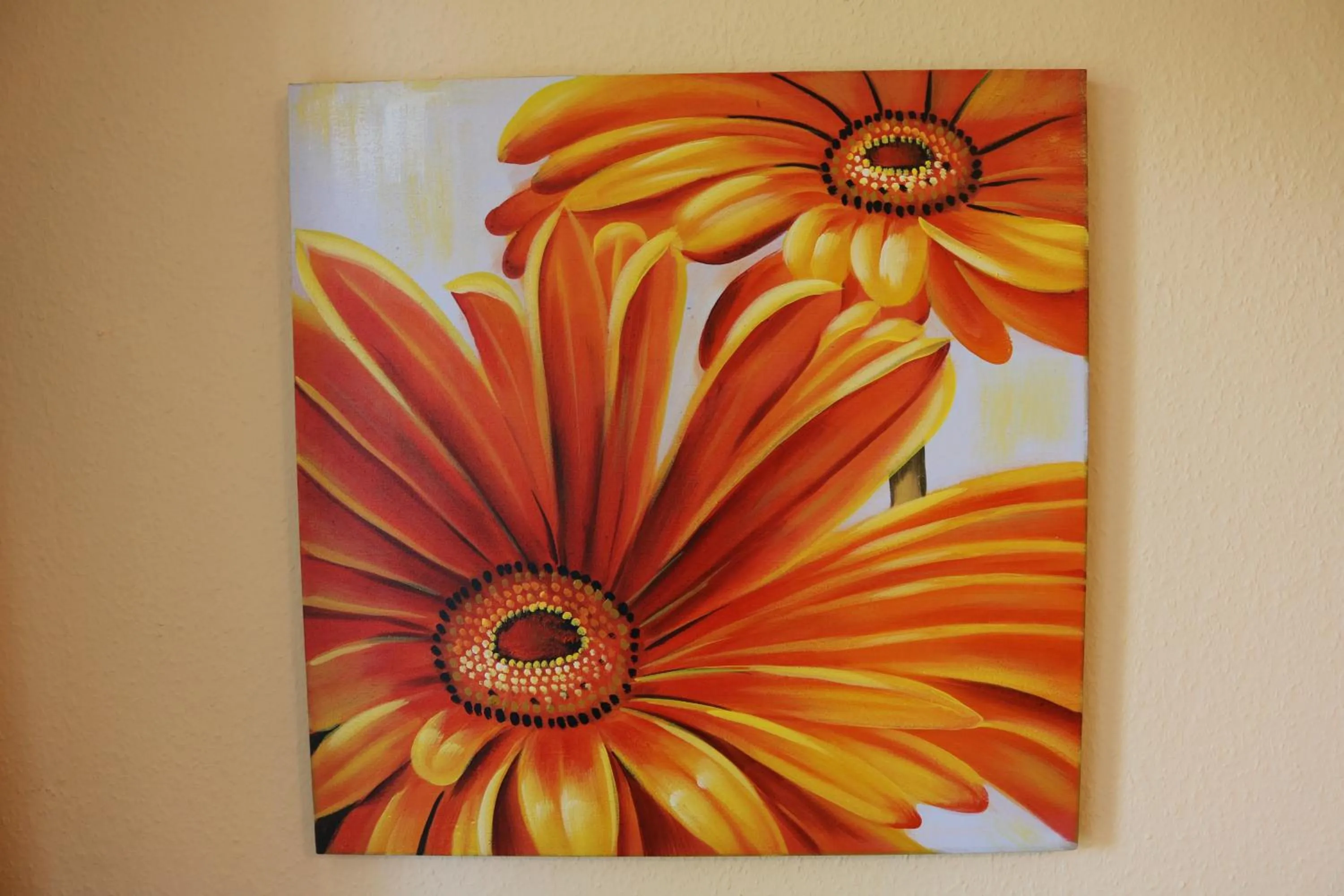 Area and facilities in Hotel Brigitte