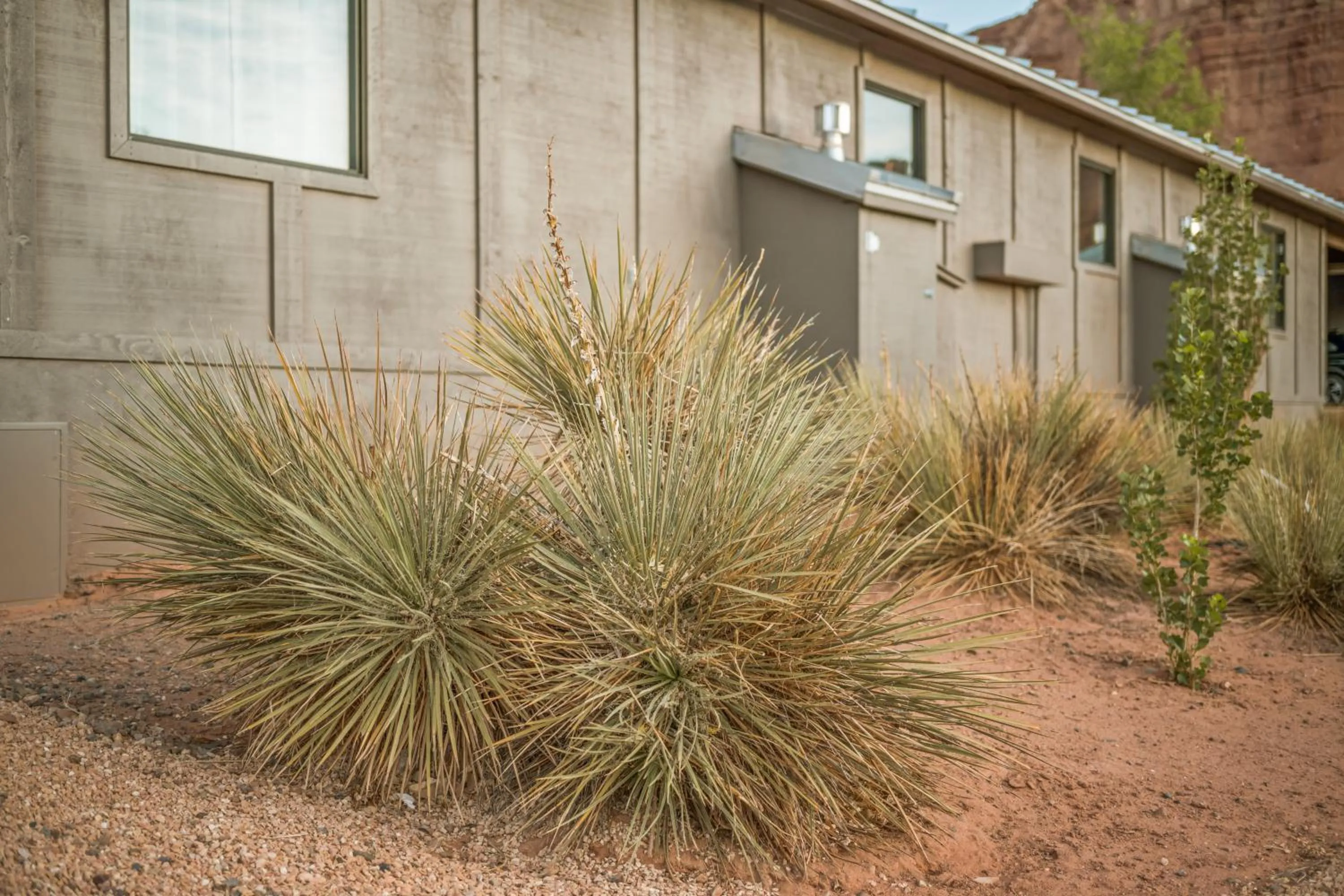 Property building in Marble Canyon Lodge